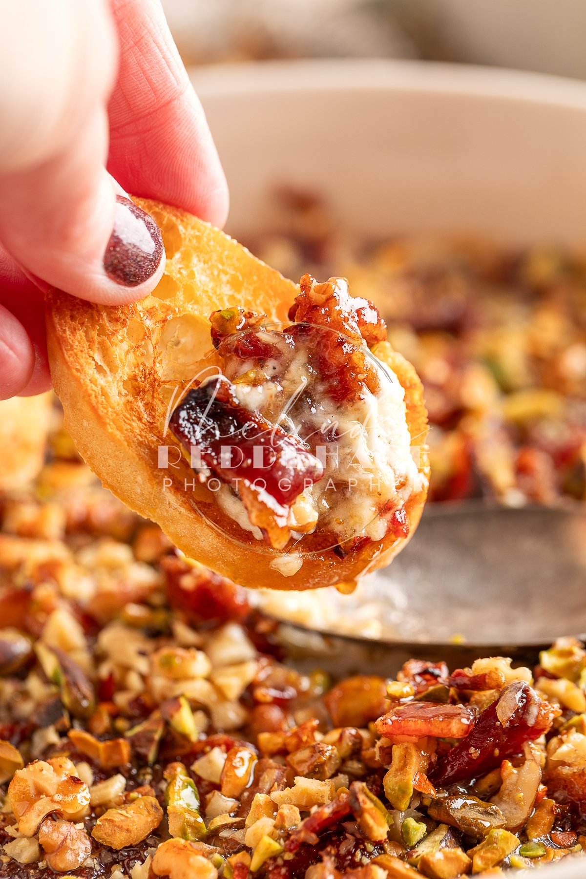 Boursin Bacon Pistachio Walnut Fig Dip- LRWM-28.jpg