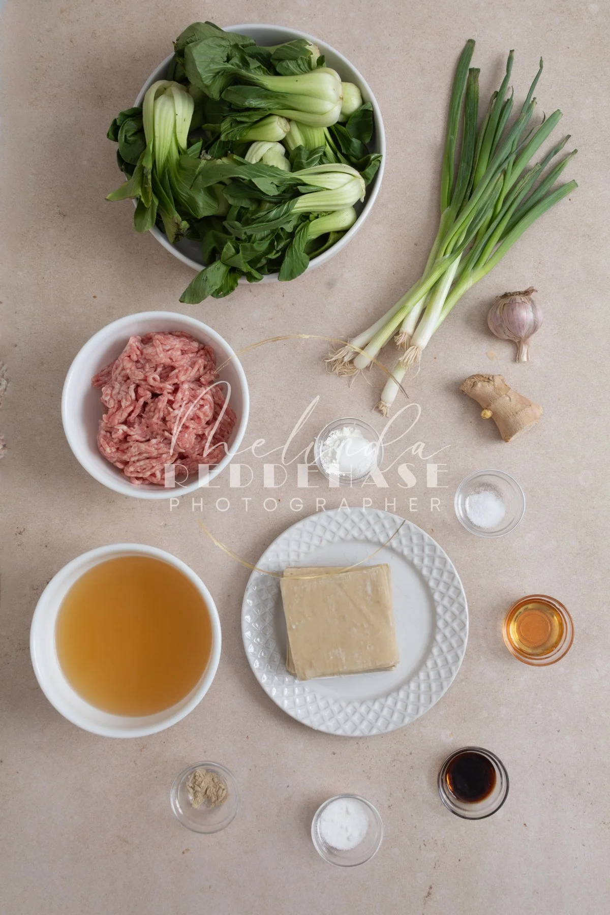 Deconstructed Wonton Soup- LRWM-1.jpg