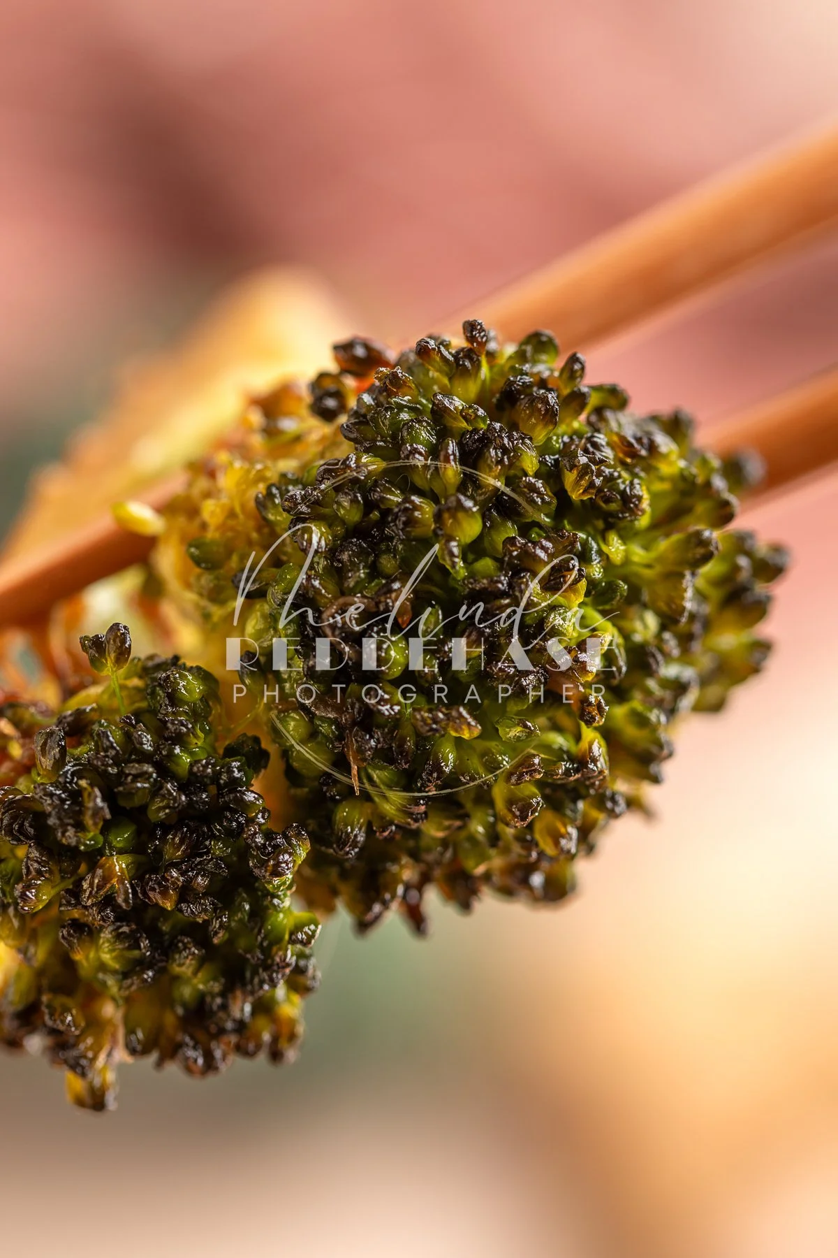 Asian Broccoli - LRWM-27.jpg