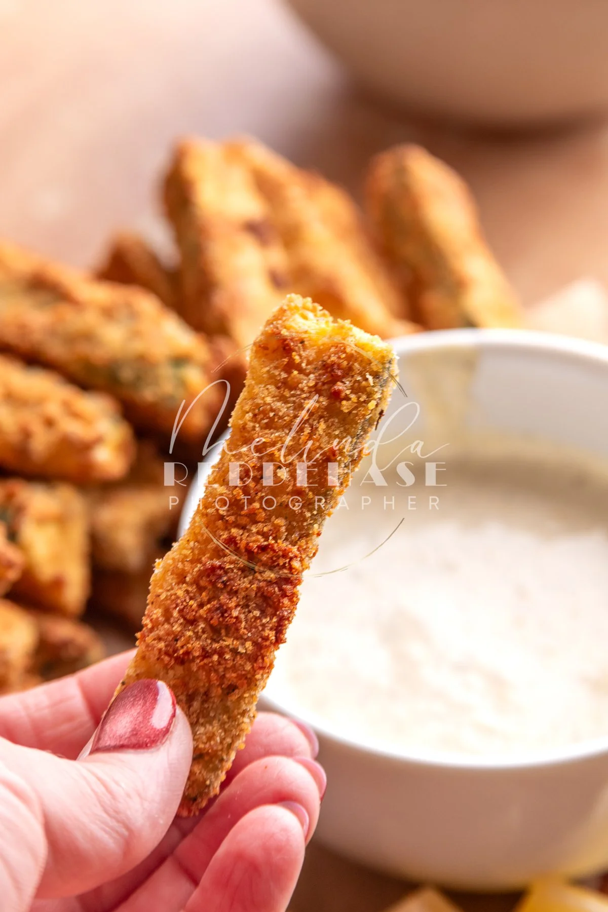 Air Fryer Zucchini Fries Lemon Garlic Aioli- LRWM-45.jpg