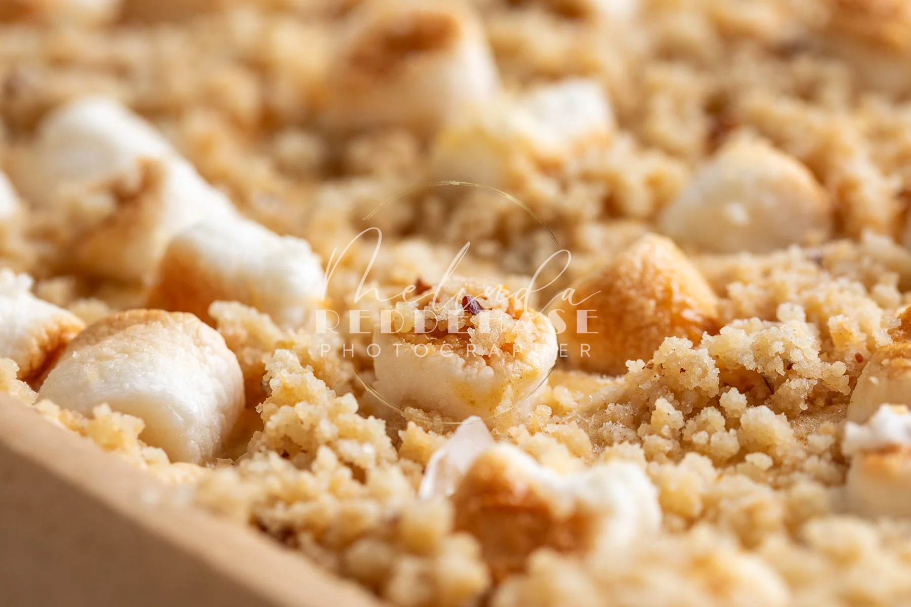 No Churn Toasted Marshmallow Pumpkin Pie Ice Cream-LRWM-18.jpg