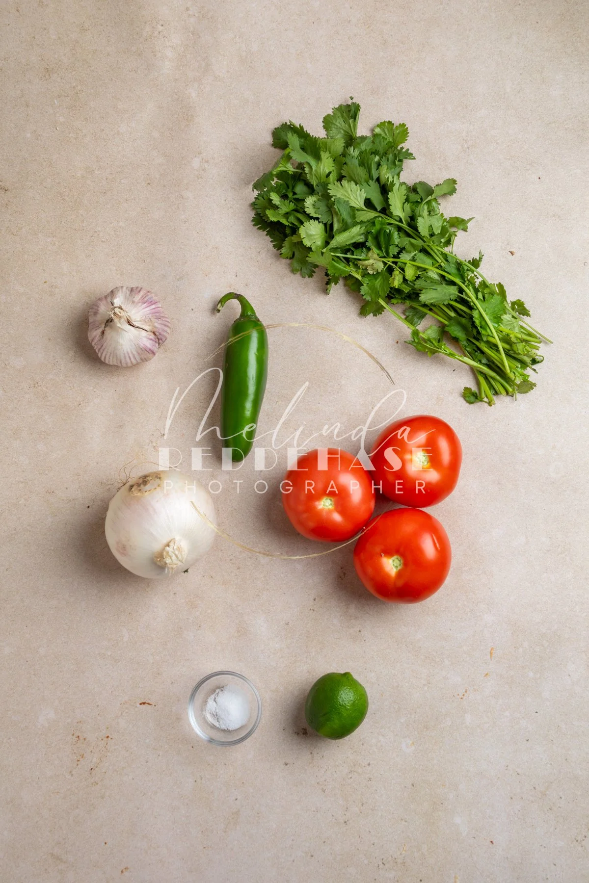 Pico De Gallo- LRWM-1.jpg