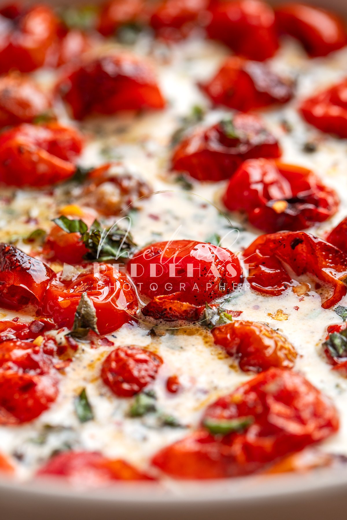 Roasted Tomato Burrata Dip- LRWM-11.jpg