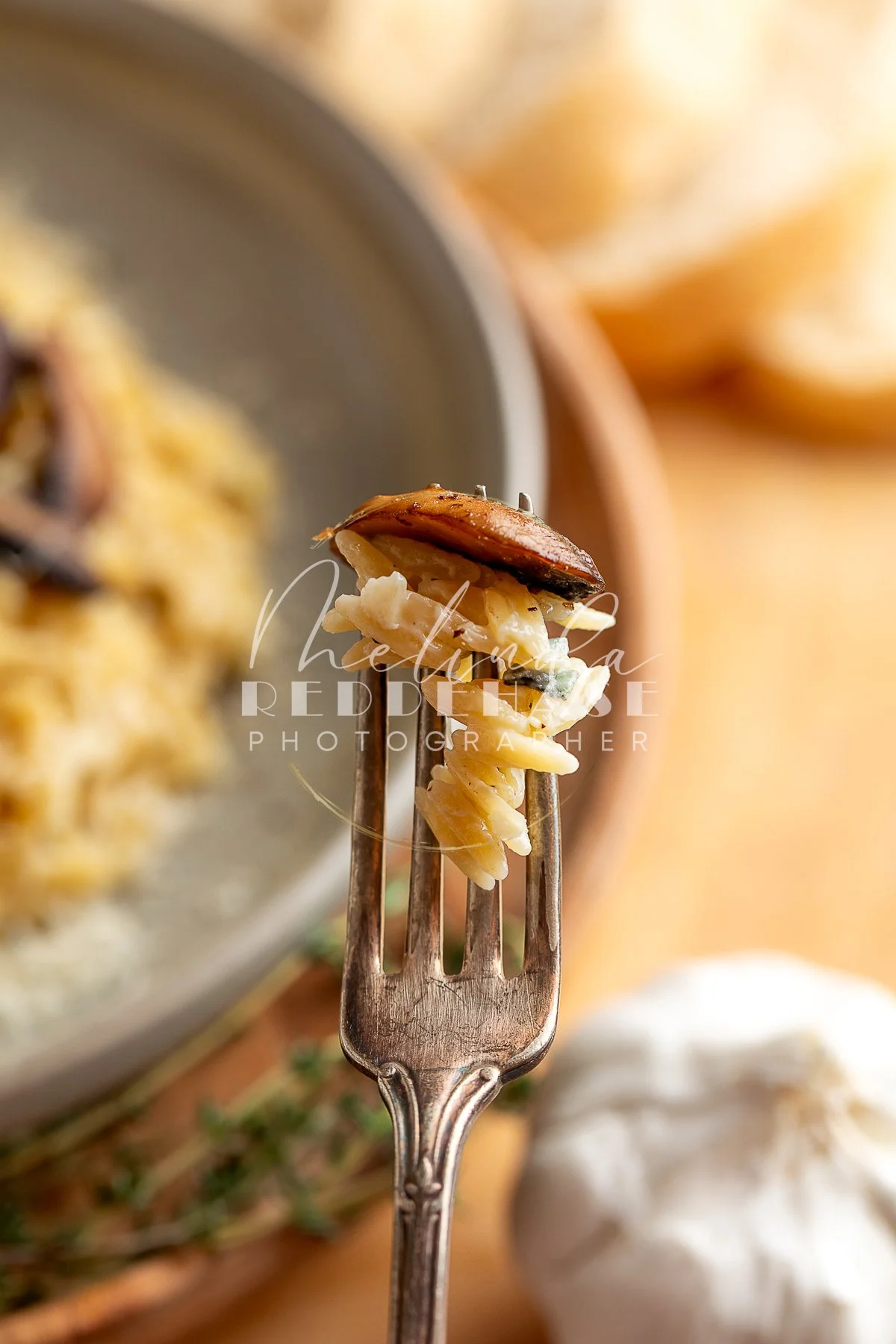 Roasted Mushroom Orzo Pasta with Garlic Cream Sauce- LRWM-21.jpg