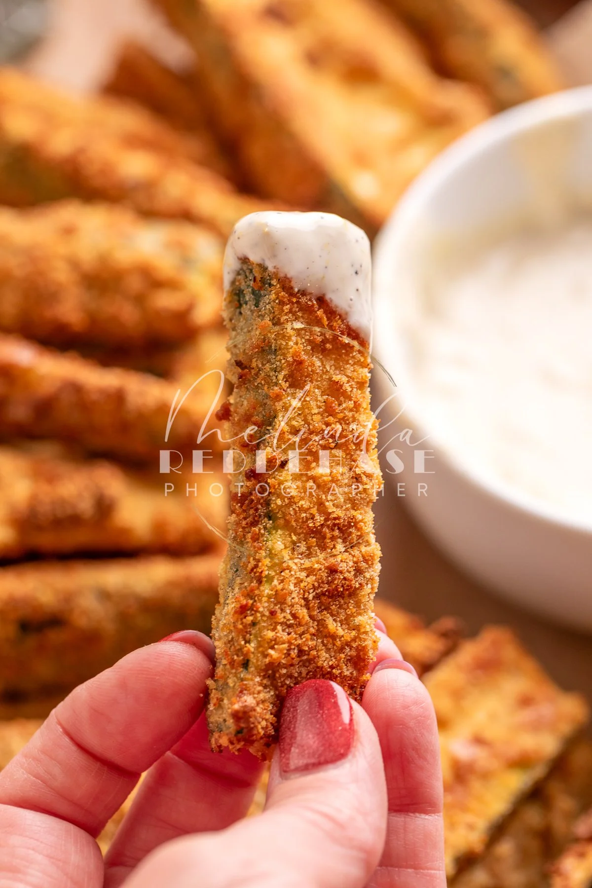 Air Fryer Zucchini Fries Lemon Garlic Aioli- LRWM-40.jpg
