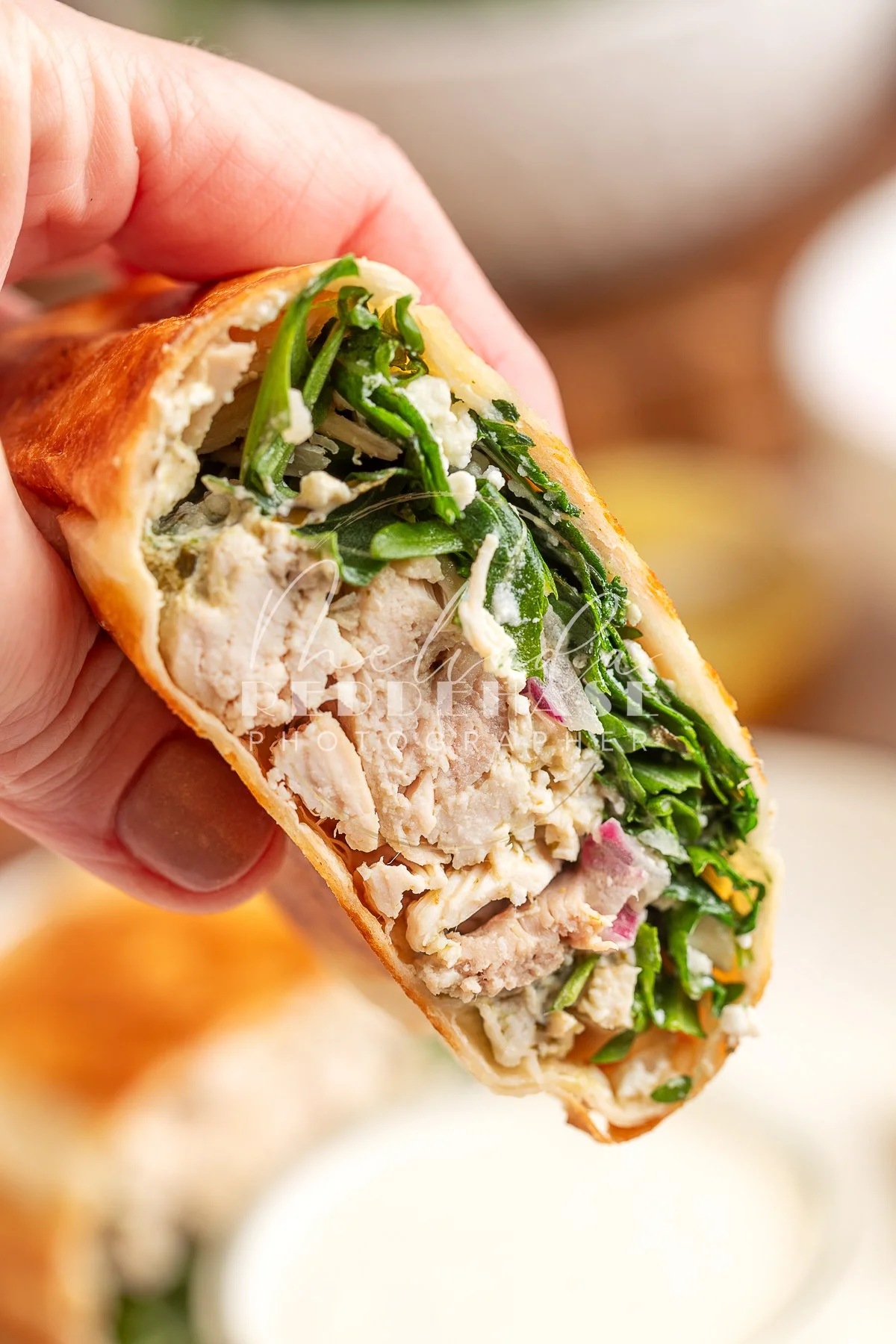 Pesto Chicken Wrap Lemon Garlic Yogurt Dip - LRWM-42.jpg