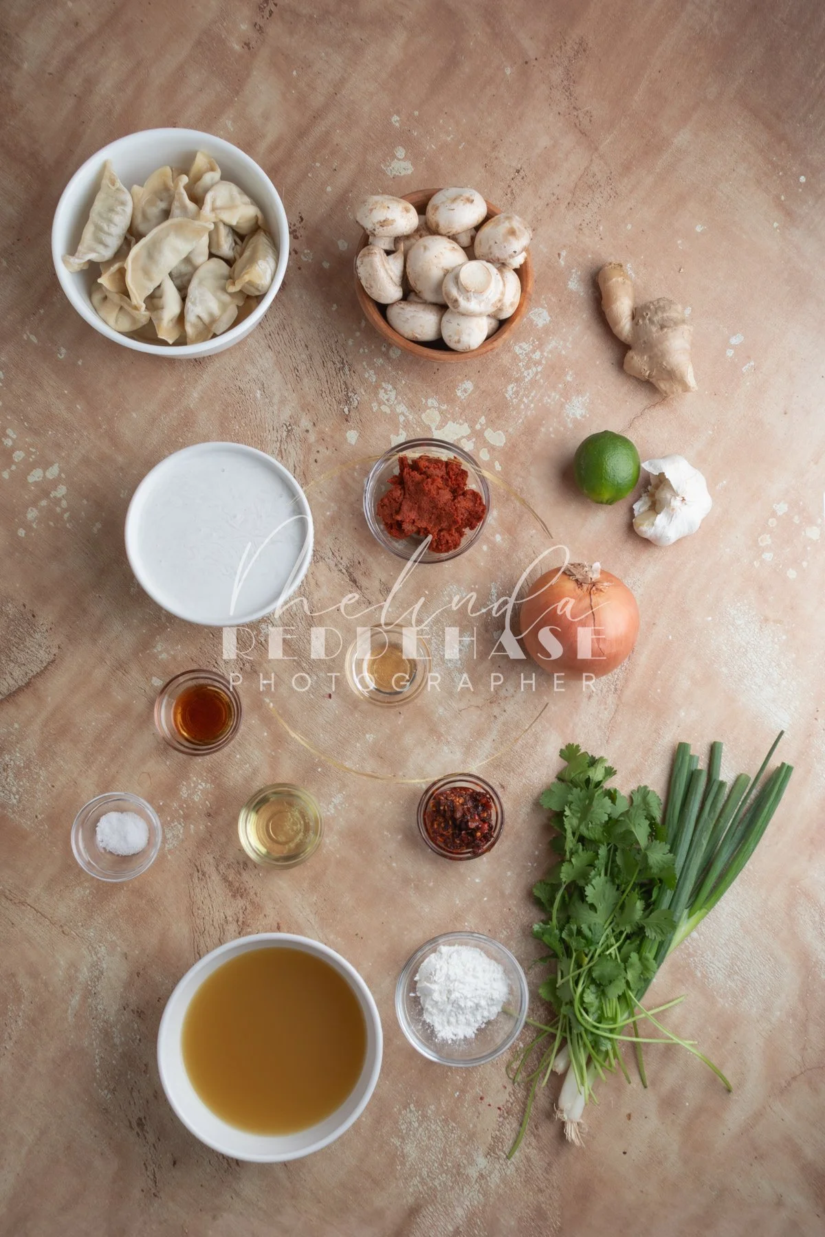 Thai Dumpling Soup- LRWM-1.jpg