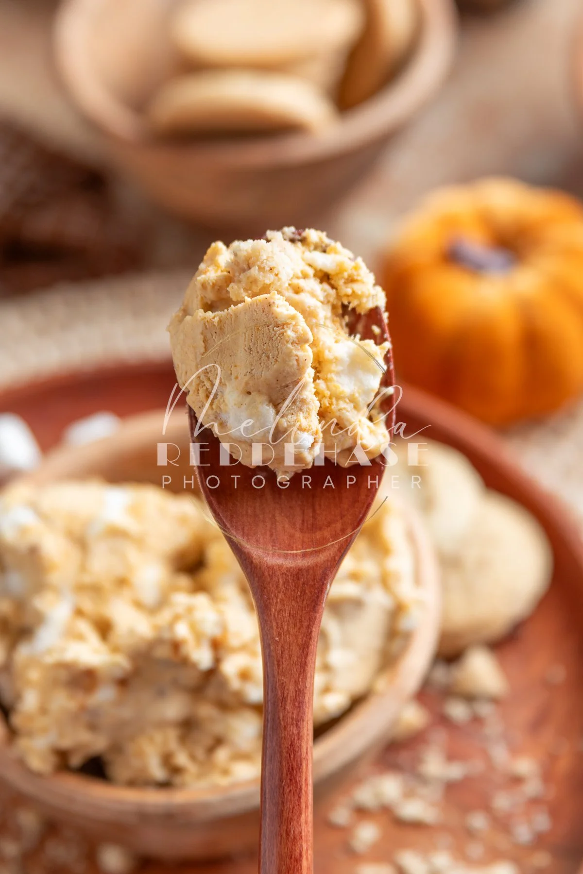 No Churn Toasted Marshmallow Pumpkin Pie Ice Cream-LRWM-40.jpg