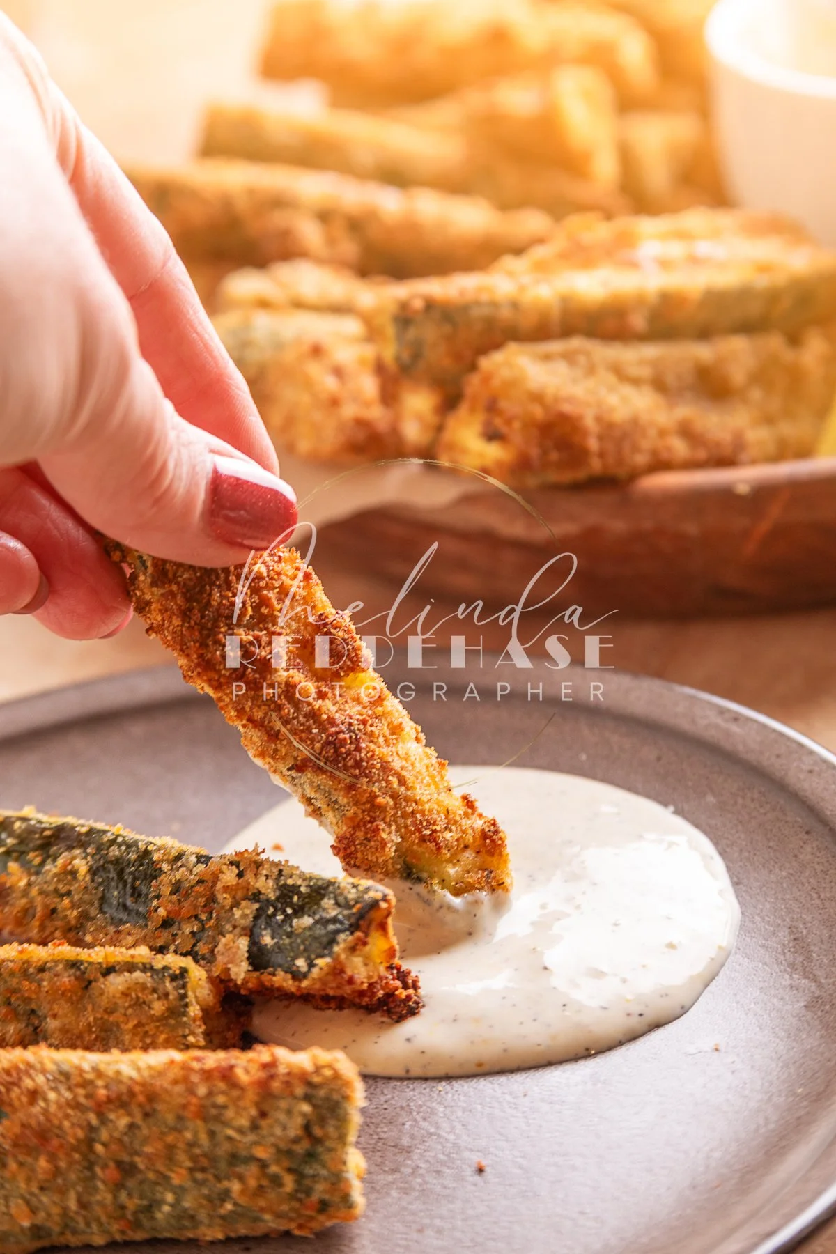 Air Fryer Zucchini Fries Lemon Garlic Aioli- LRWM-48.jpg