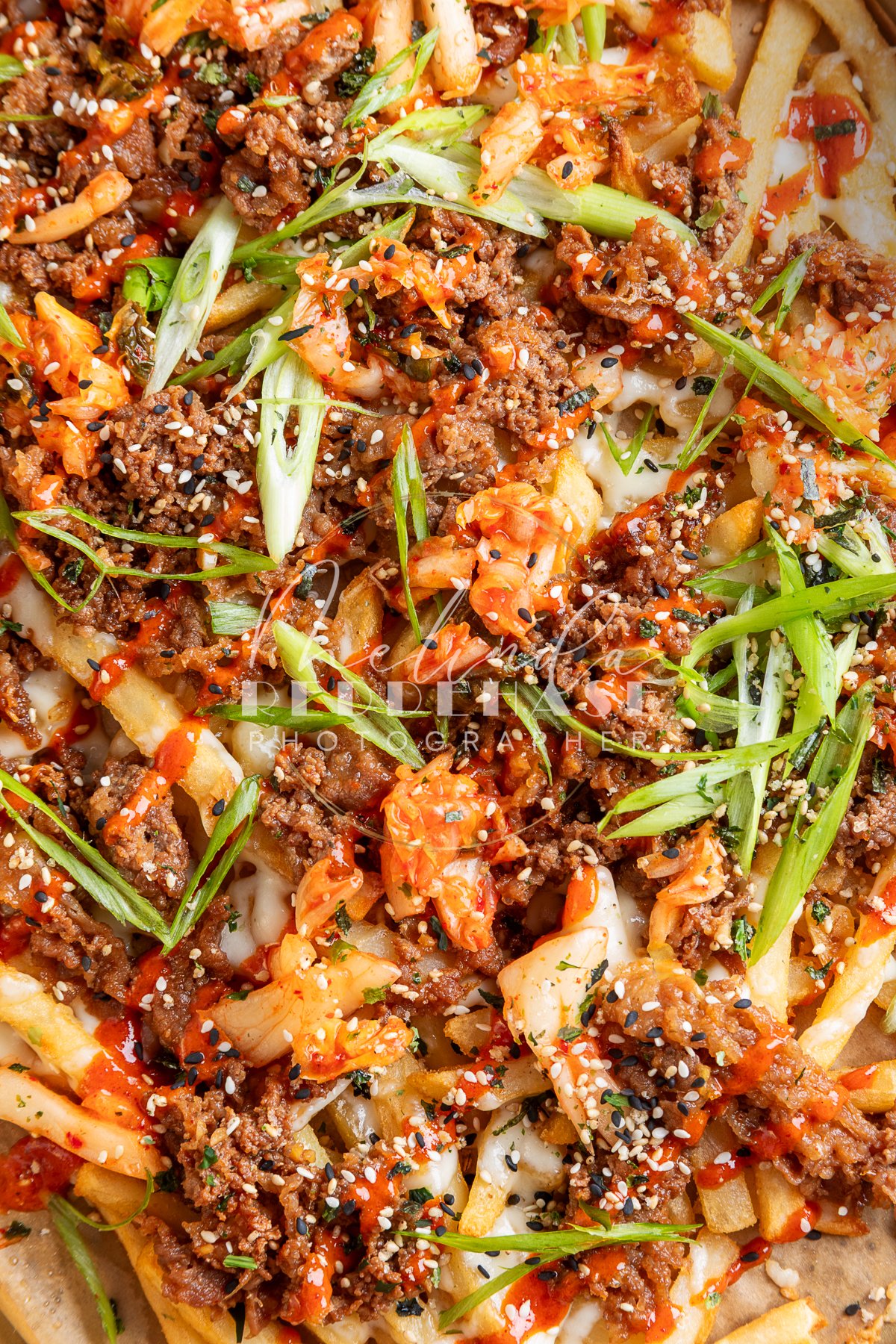 Loaded Fries- Korean Bulgogi-LRWM-9.jpg