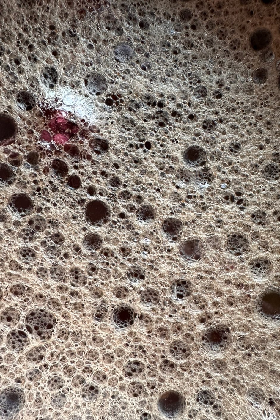 Textured Sculptural Bioplastic