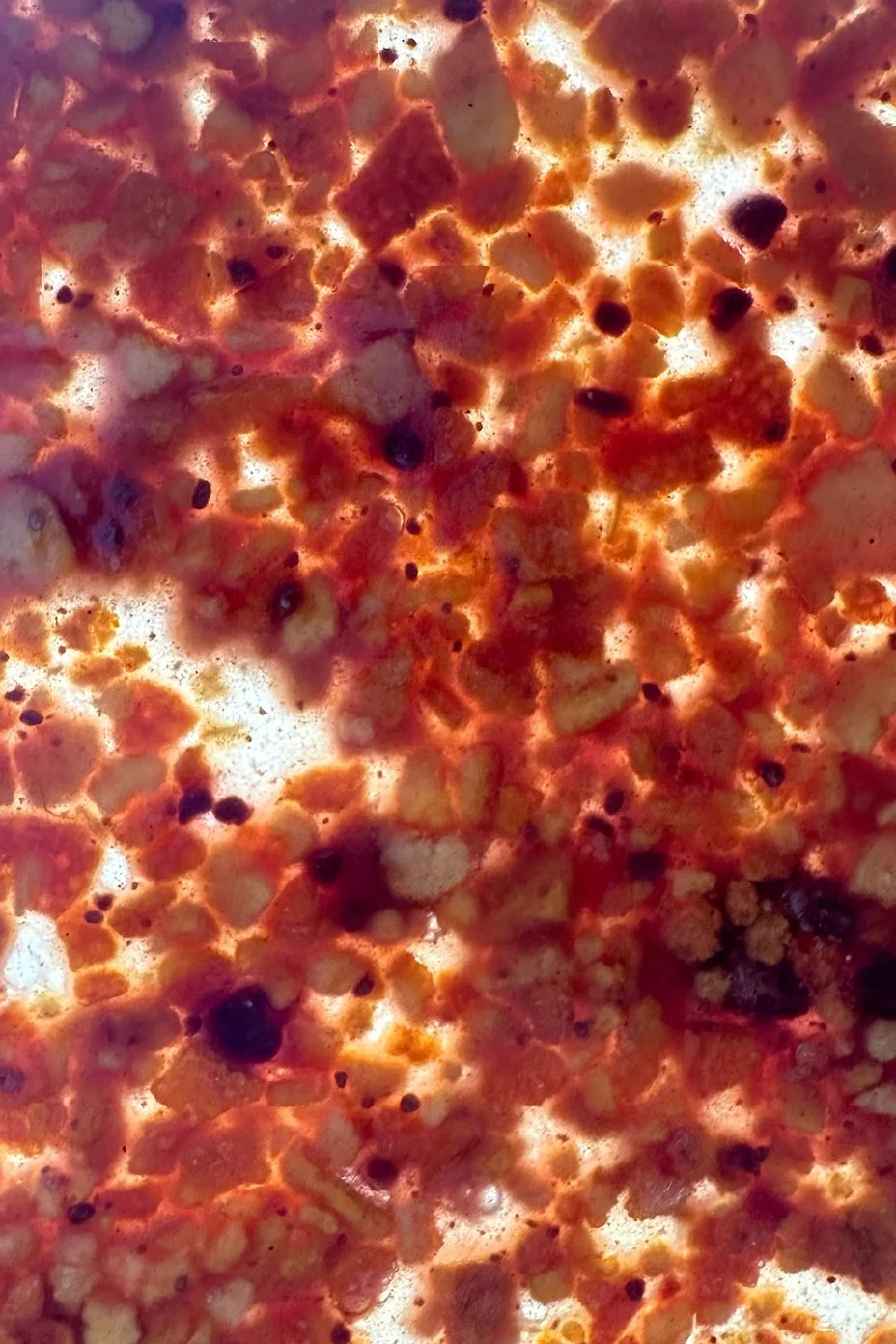 Orange peel bioplastic