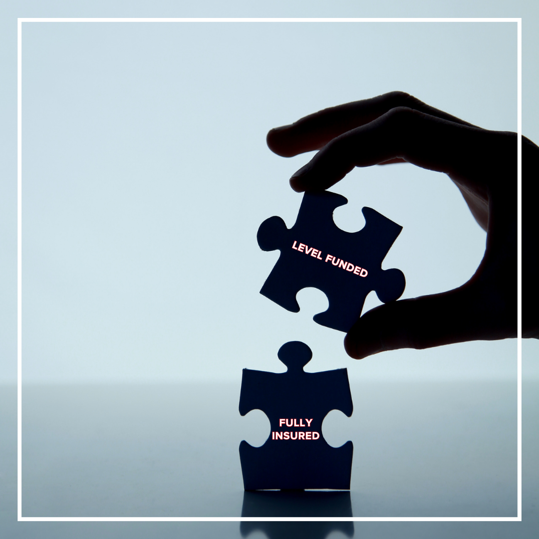 Level Funded vs. Fully Insured Plans: Navigating Group Health Options