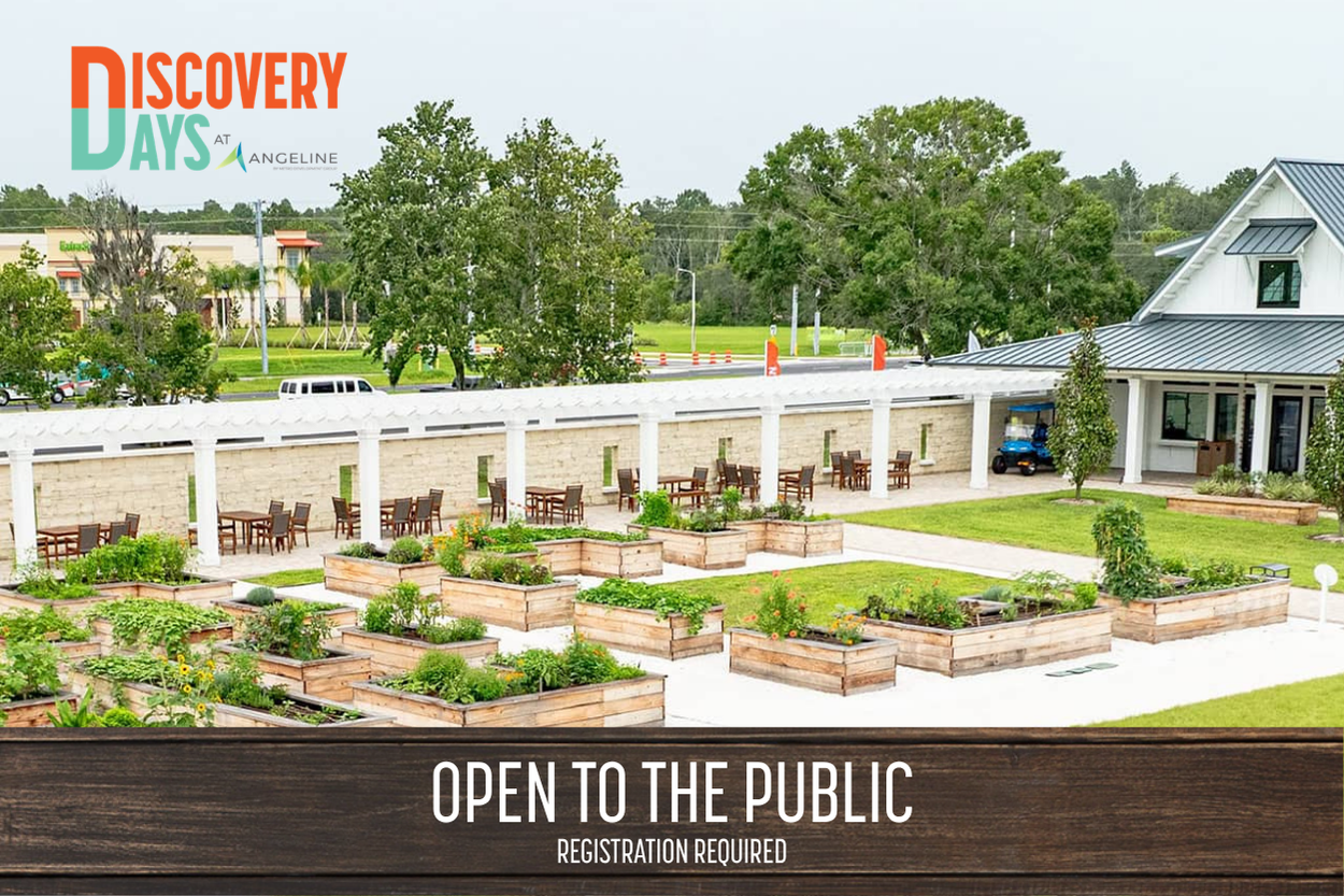 Discovery Day at Angeline