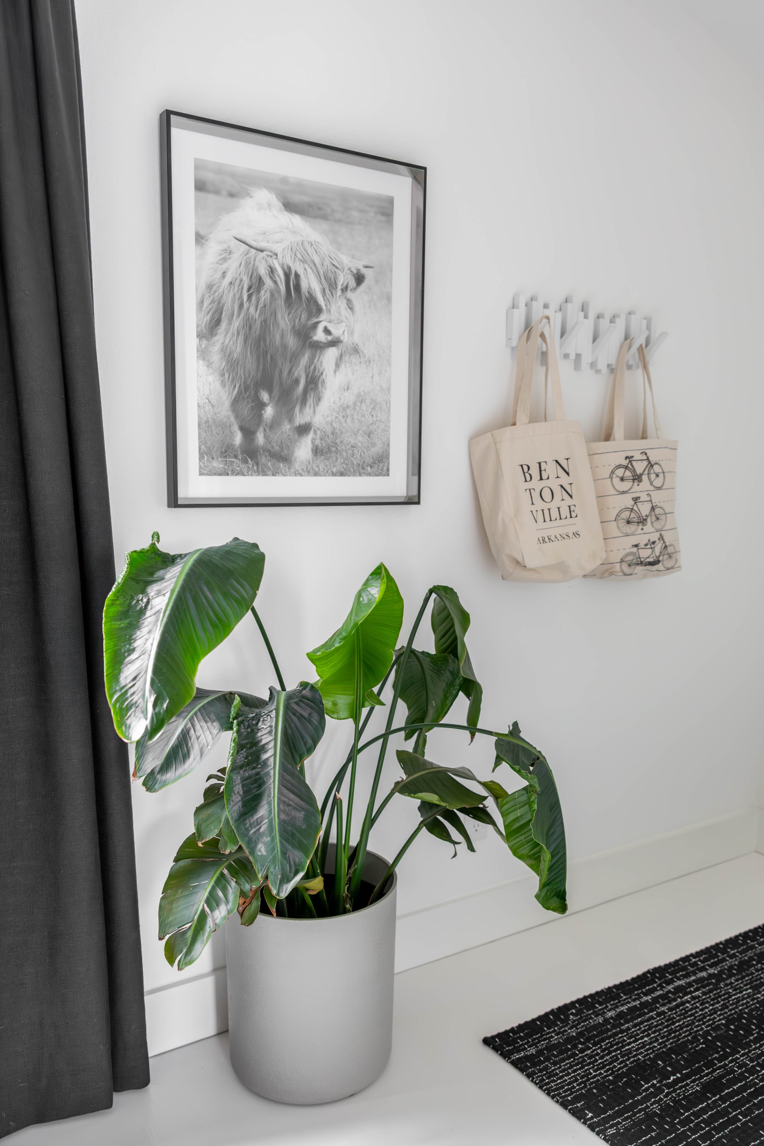 The Hamish Cow is an ode to the farmland this house is built on and my future brother-in-law, Danish-Hamish. Yes, that is a real plant. We have a plant lady - Meredith!