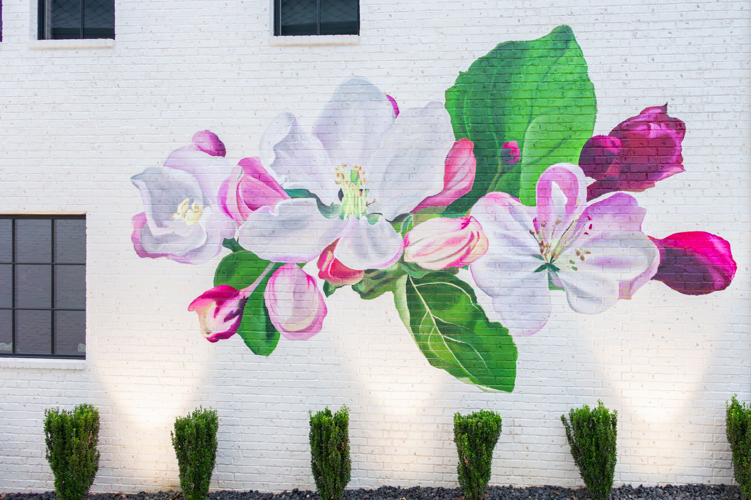 Local artist, muralist, and awesome chick, Roxy Erickson, painted this mural, honoring the Arkansas state flower, the Apple Blossom.