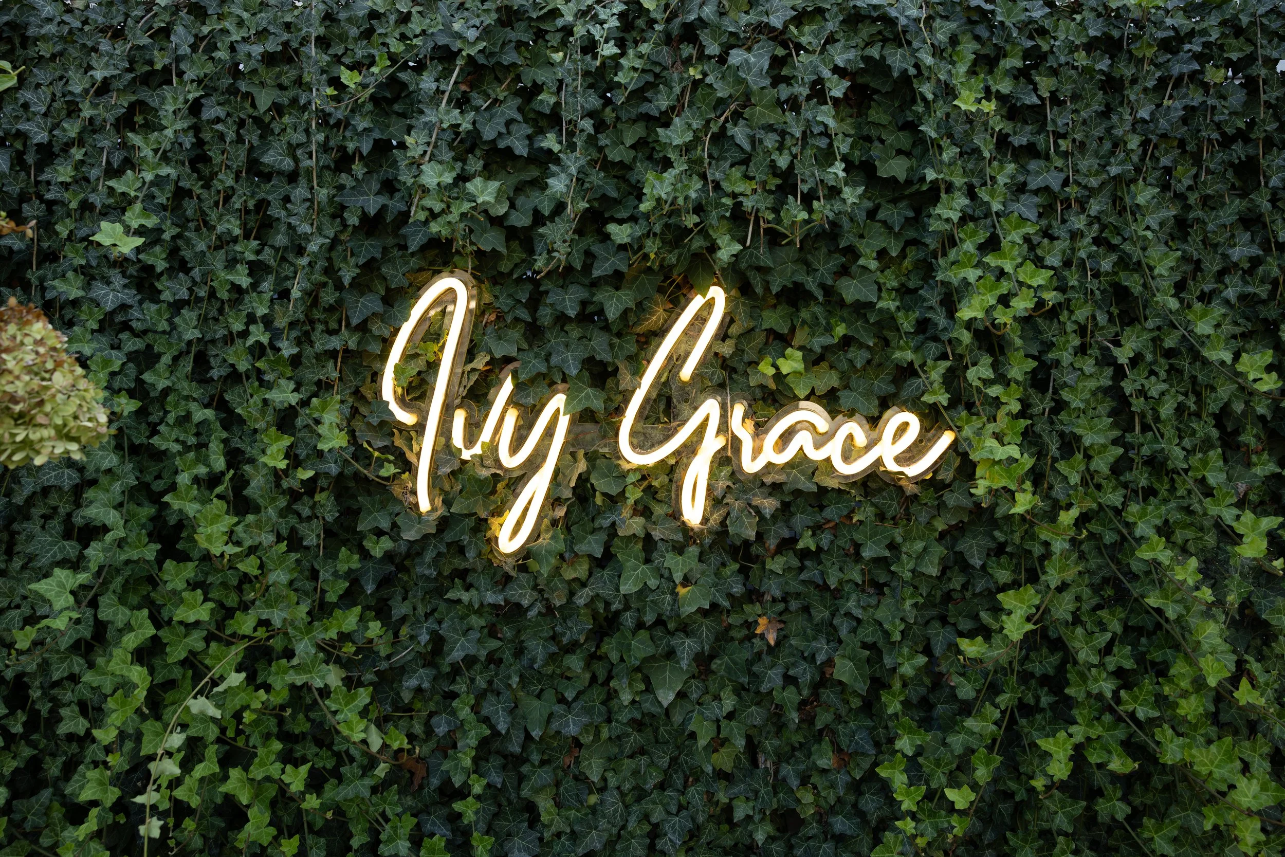 Ivy-Grace-Backyard-2 (1).jpg