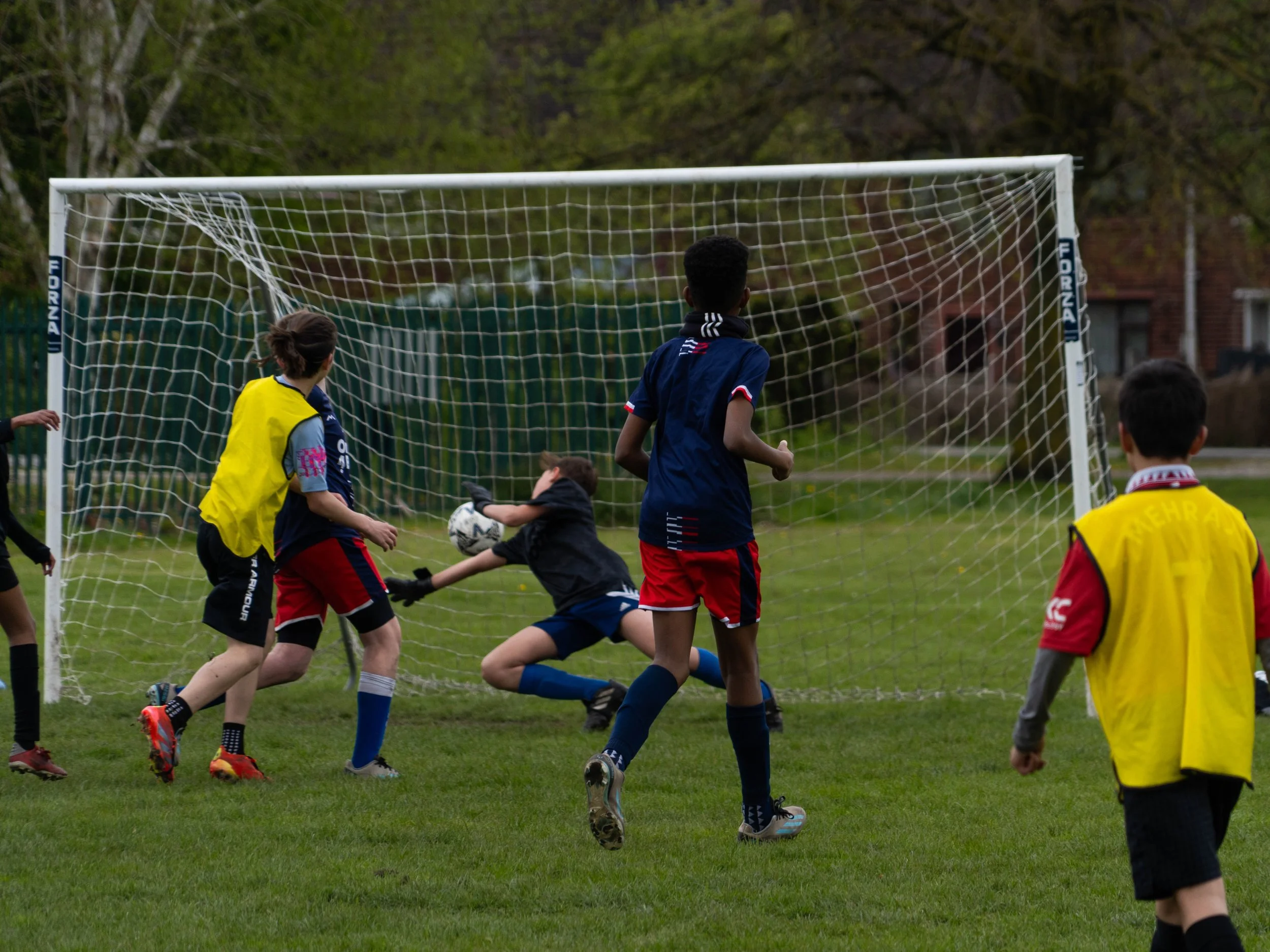 Guvu  (65 of 86).jpg