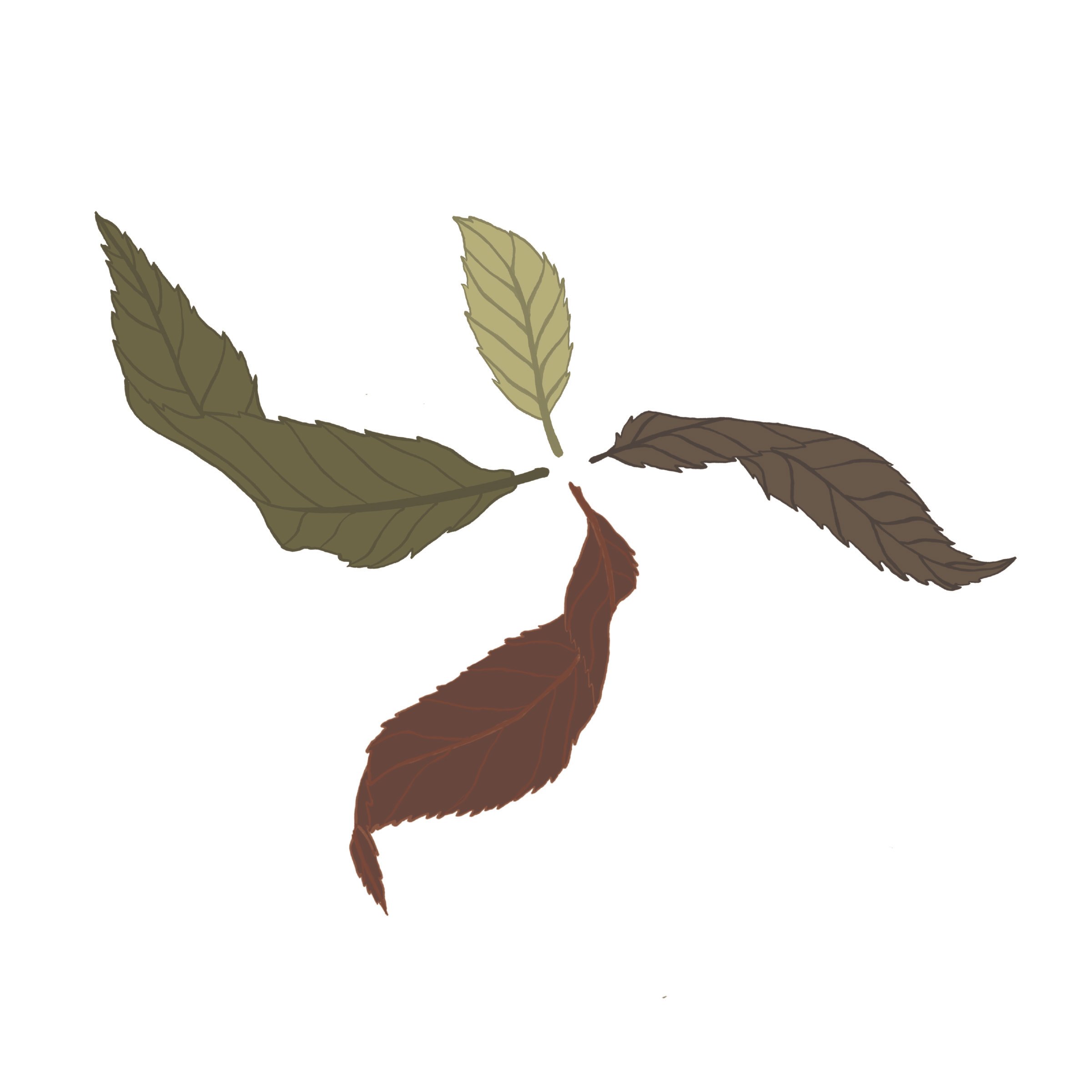 Seasons