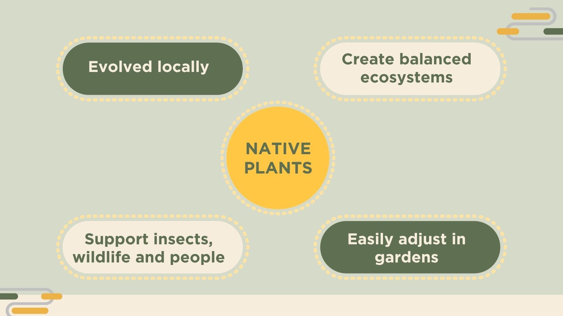 Chart of native plants and their characteristics