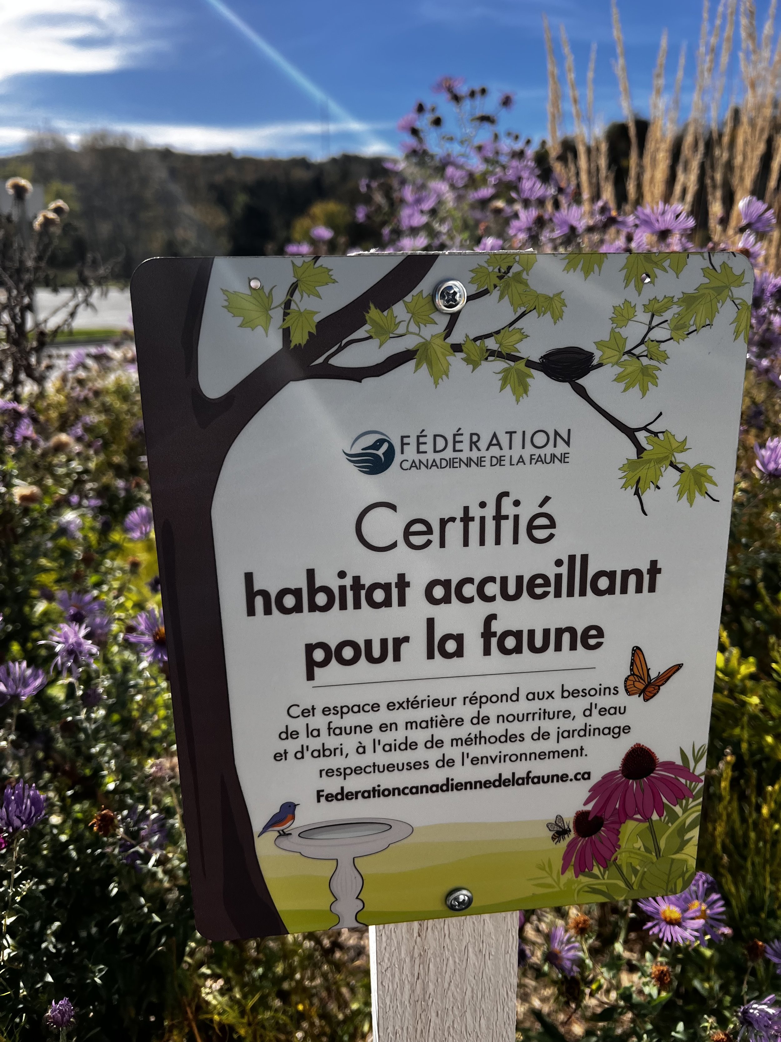 Boost your land’s ecological value with a personalized consultation