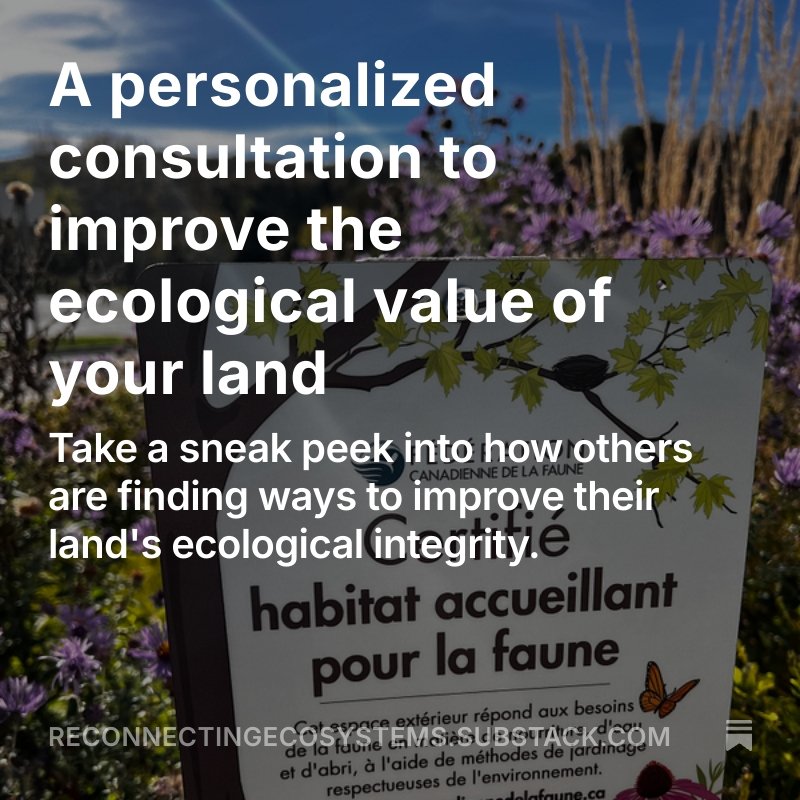 New blog post! Check it out at the link on our profile page or subscribe to the newsletter version on Substack. Take a sneak peek into how others are finding ways to improve their land's ecological integrity.
reconnectingecosystems.substack.com
--
No
