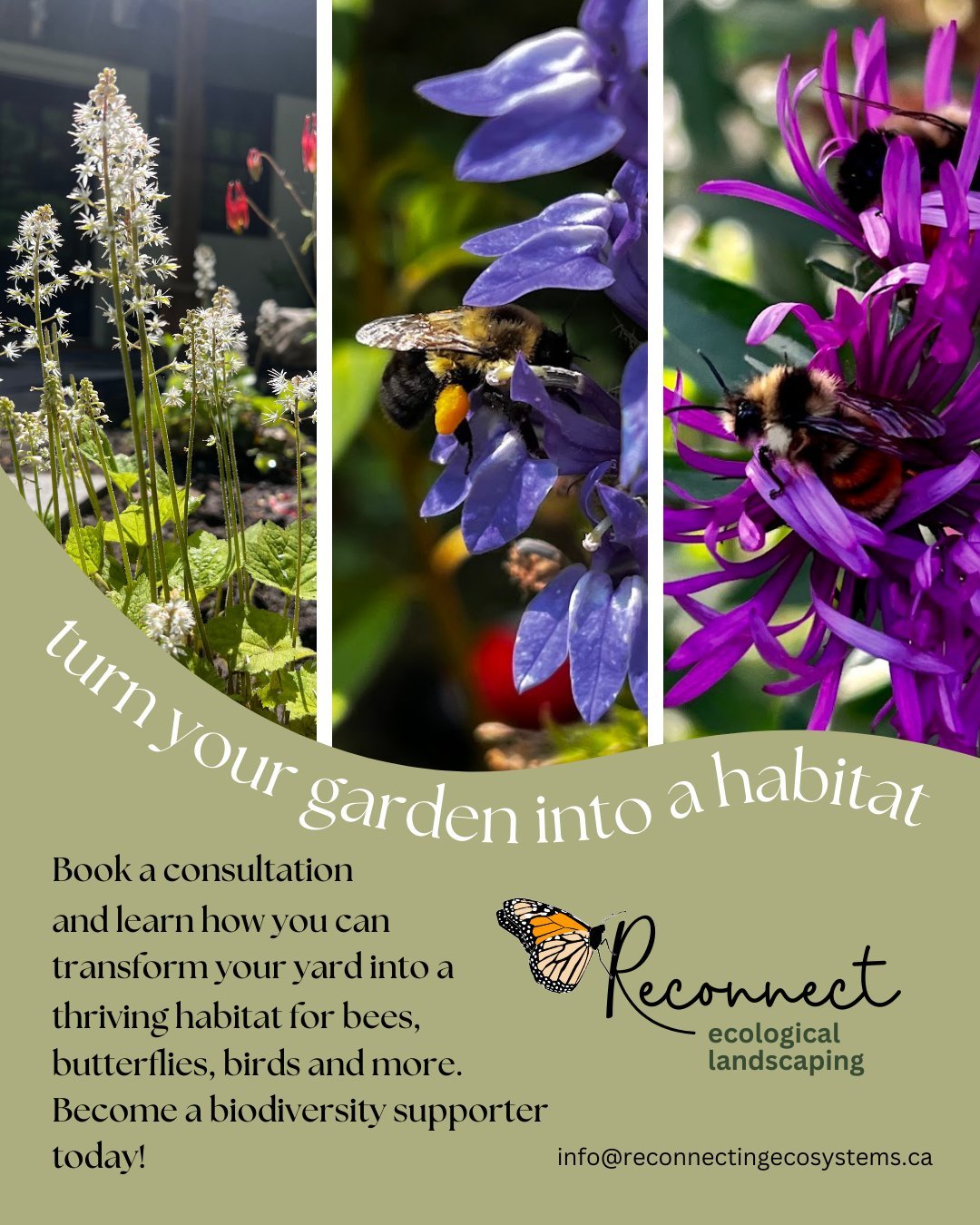 🌿 Now booking spring consultations for the Ottawa and Outaouais regions! 

Are you interested in&hellip;

✔️ Transitioning from a conventional landscape to a healthy ecosystem? 
✔ ️Replacing a section of your lawn with a meadow?
✔️ Creating a landsc