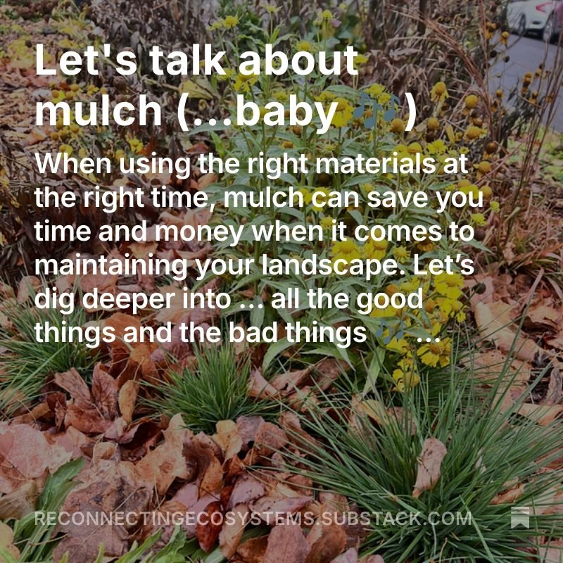 💬 To mulch or not to mulch? That is the question many gardeners are faced with each year. Check out our latest blog post where we dig in to the many different types of mulch that are commonly used, and what might be best for you and your property.
-