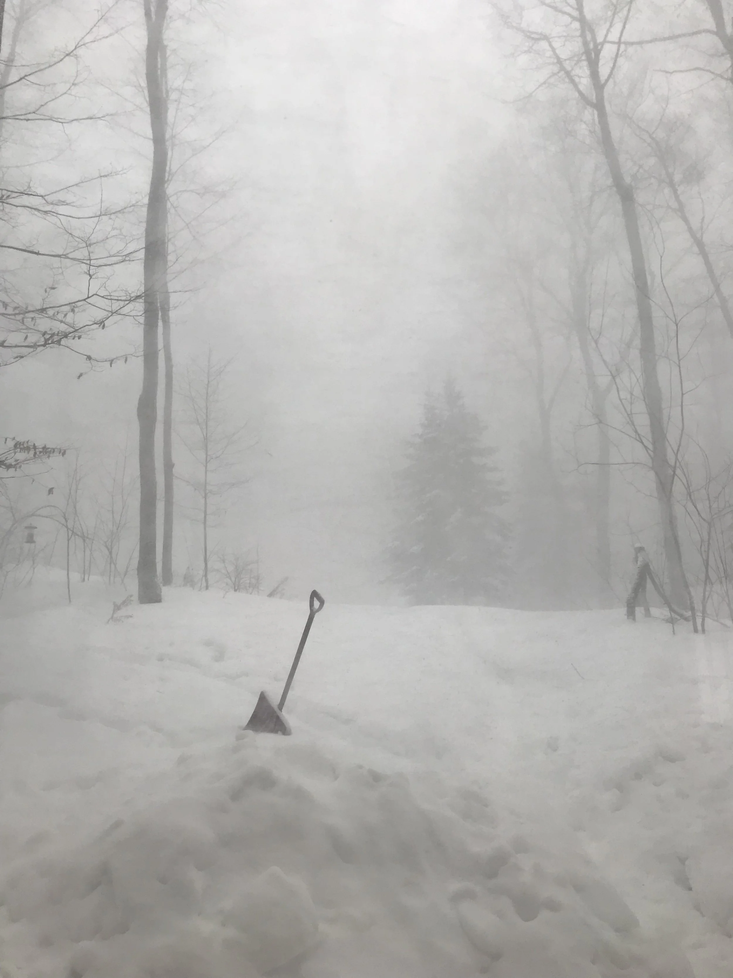 Salt, sand and snow: The environmental costs of winter safety