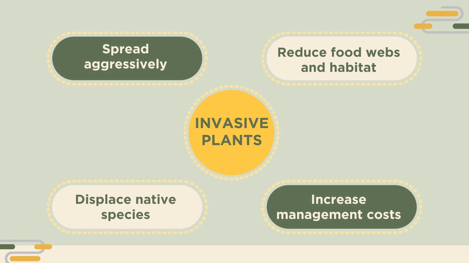 Chart of invasive plants and their characteristics