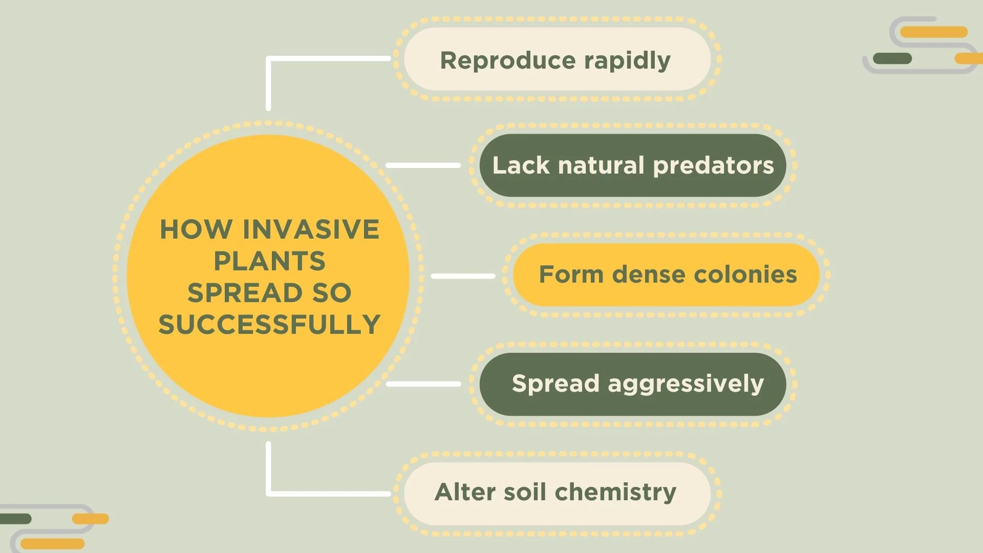 Chart of reasons why invasive plants spread successfully