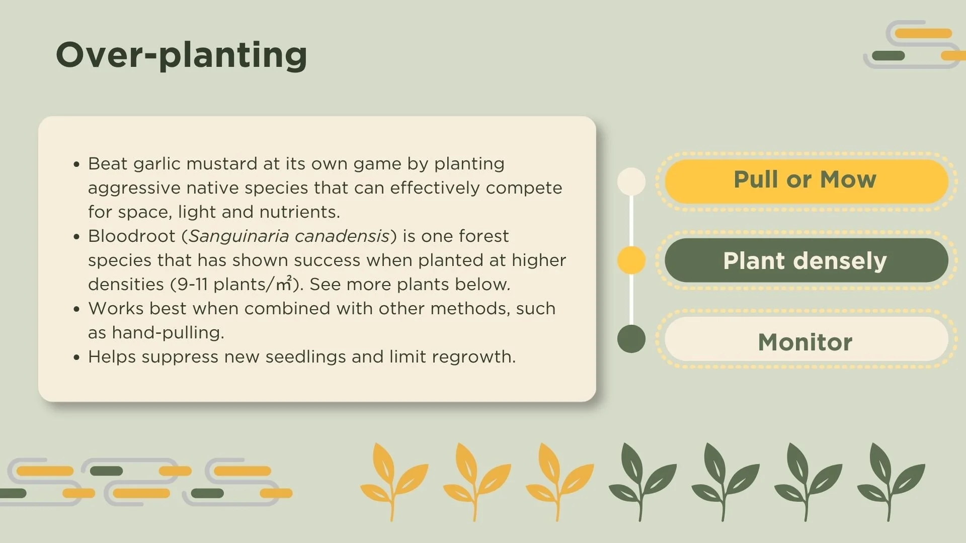 Text describing over-planting techniques