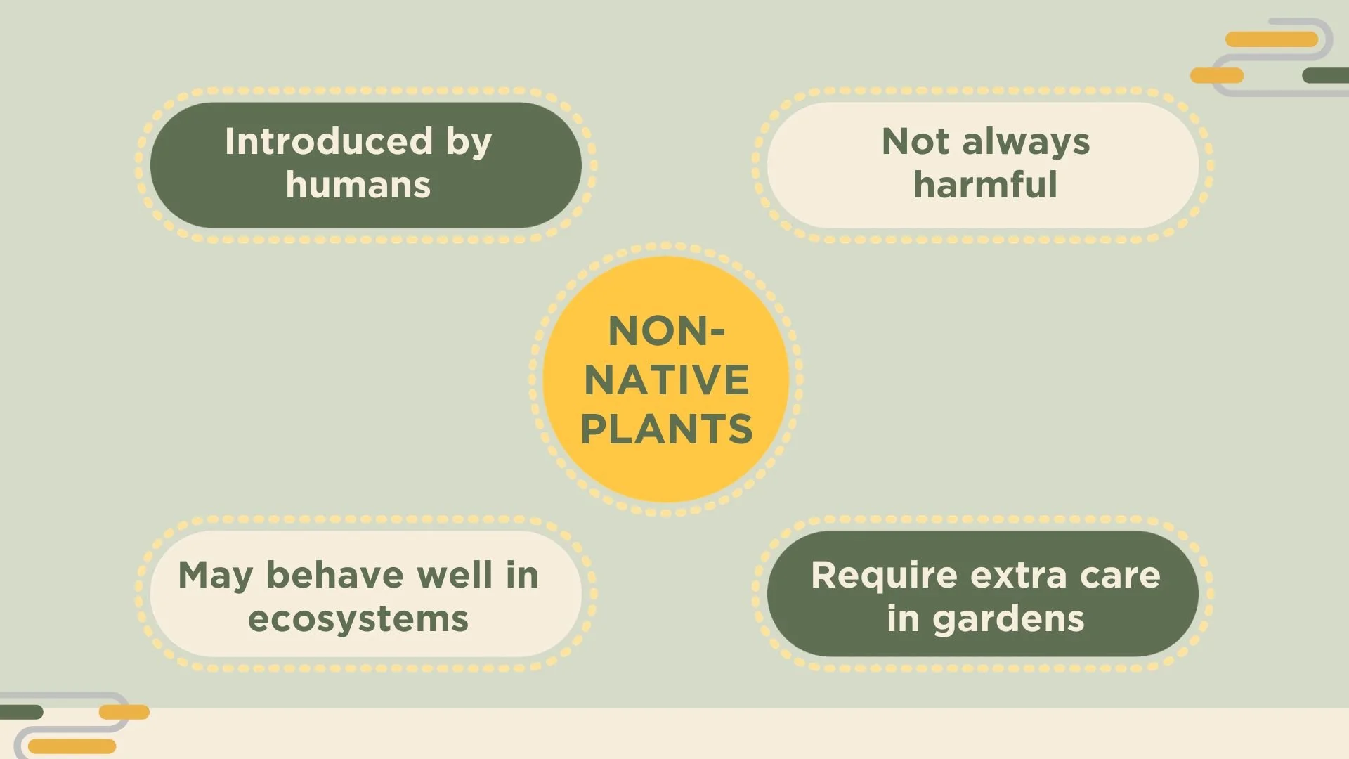 Chart of non-native plants and their characteristics