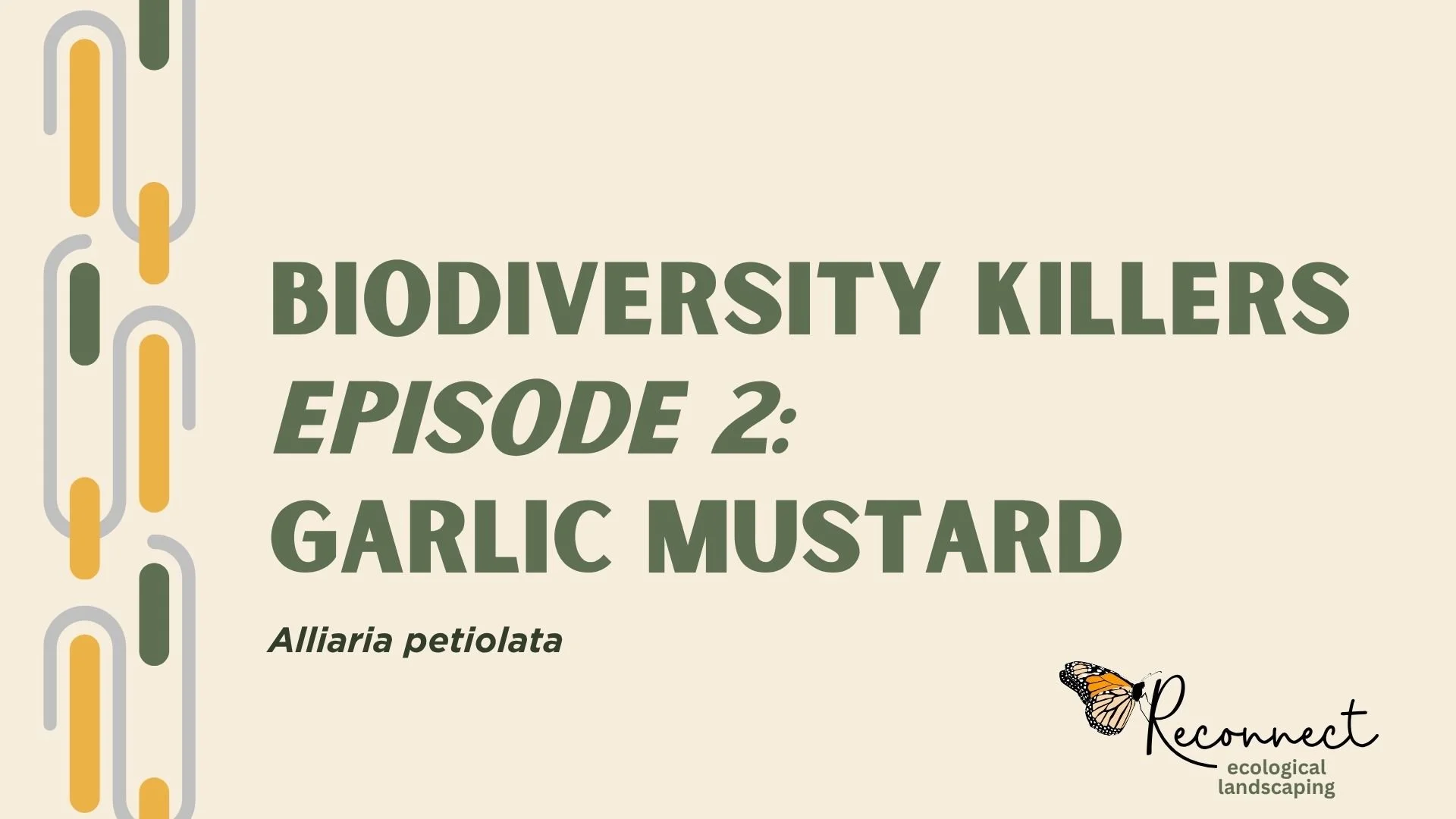 Title page for Biodiversity Killers Episode 2: Garlic Mustard
