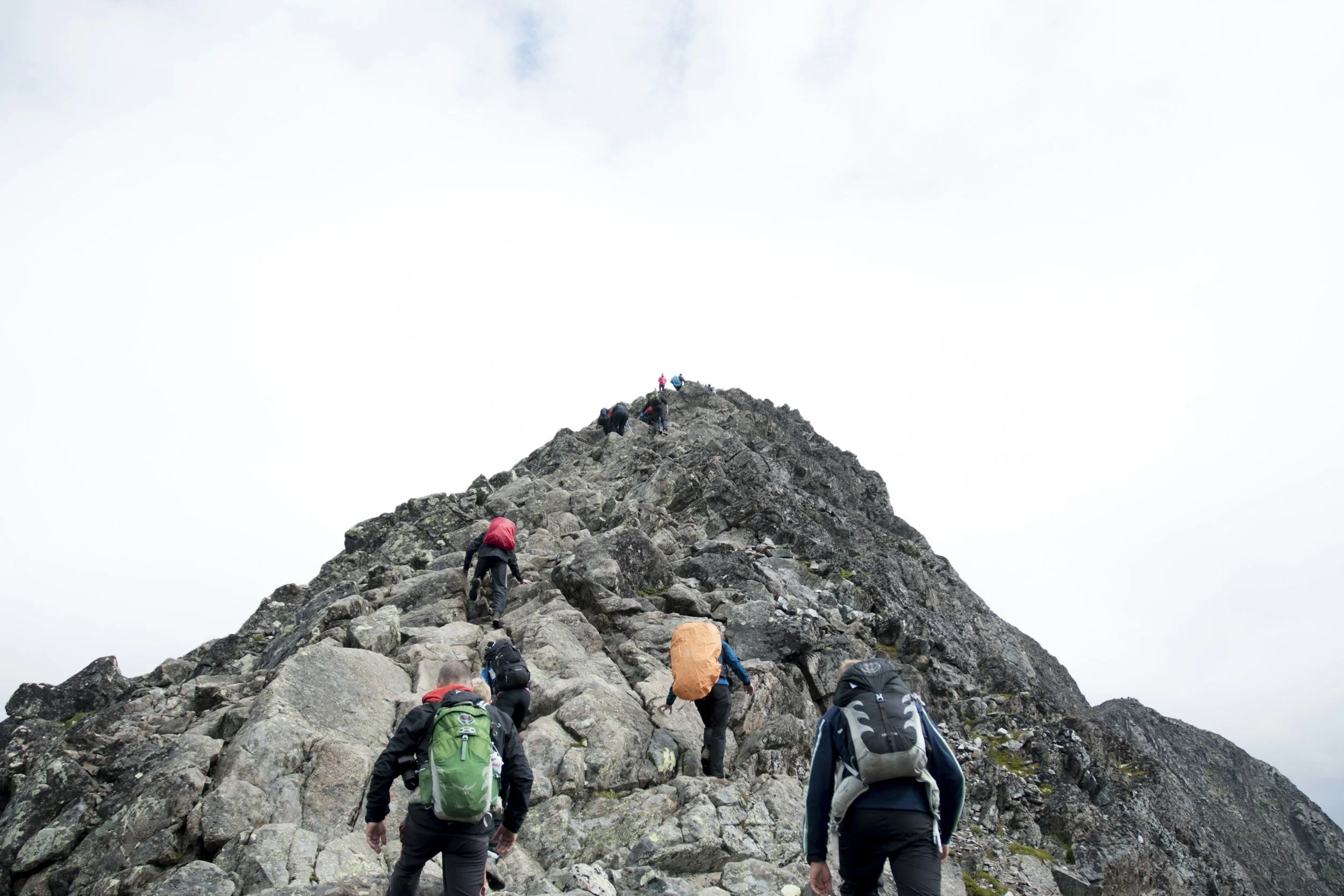 Building Trust in Coaching Relationships