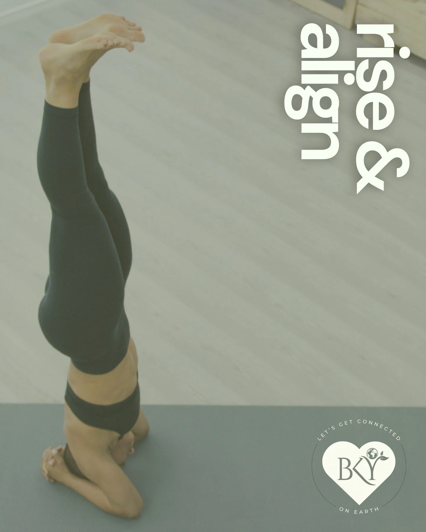 Find your edge.🔥THE ASCENT is about play, strength, and curiosity. Join us for a Level 2 class this week!

#bkyoga #bkyogaonearth #stamfordyoga #connecticutyoga #stamfordct #ctyogastudio #yogaflow #vinyasaflow #yogapractice #yogajourney #advancedyog