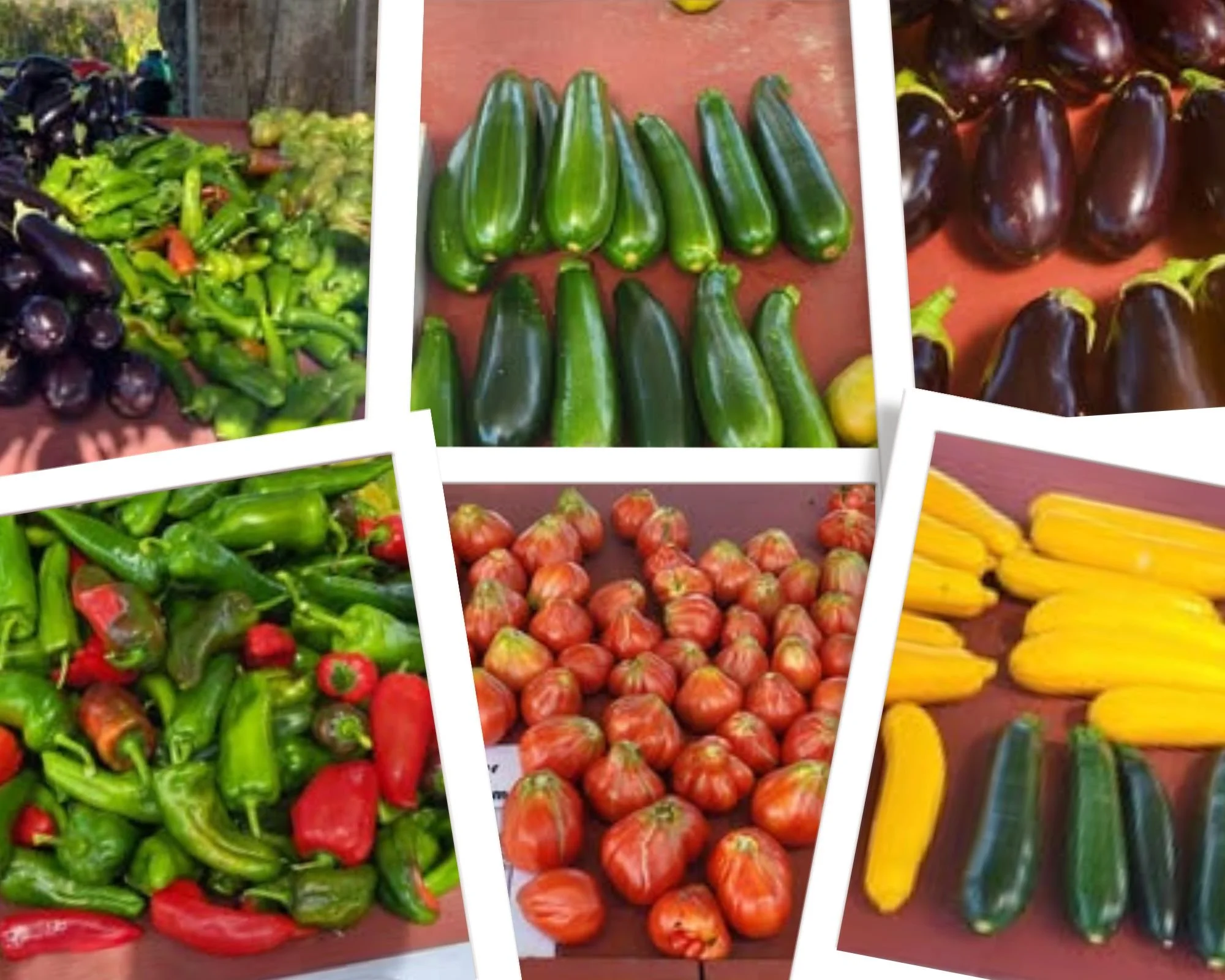 Veggies only.jpg