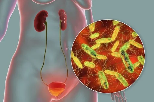 Do Urinary Tract Infections Increase the Risks of Plastic Surgery Procedures?