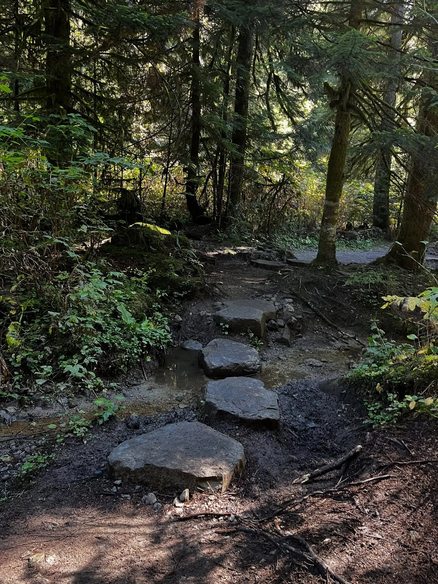 Happy Thanksgiving from the Coastal Trails! 
We are loving the rainforest vibes, pies and Italian inspired treats this season as we embark on a new adventure in the Culinary Arts. Thankful to have the opportunity to be in Vancouver for the fall! 
W