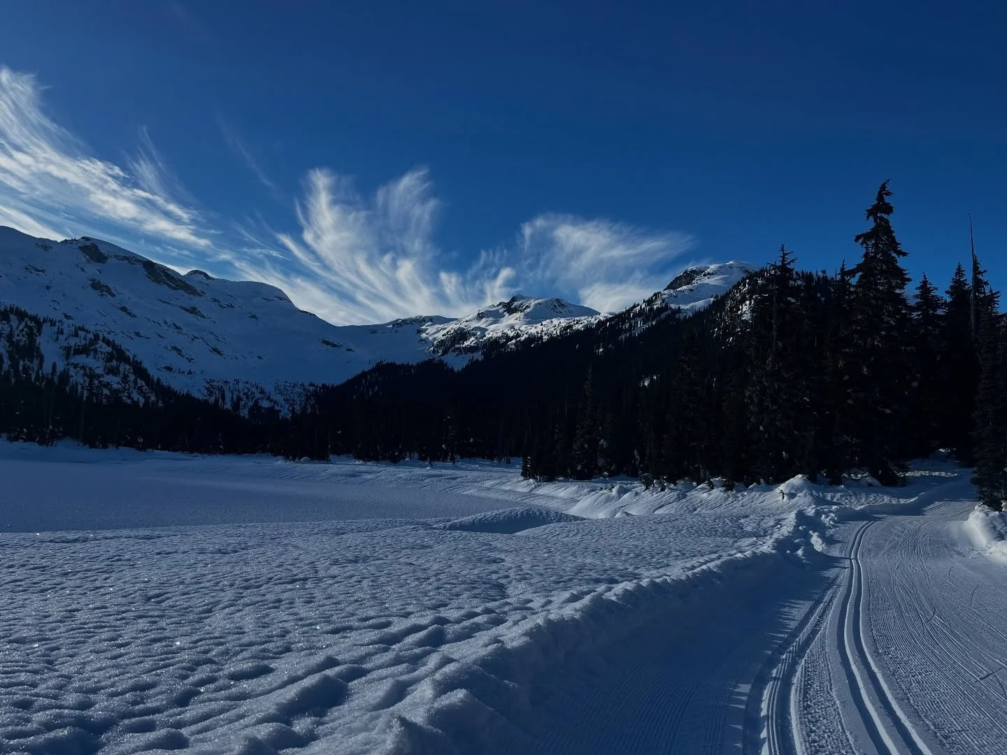Skiing for Cancer Research! 
We had the privilege of skiing in the Callaghan Valley last week and now we want to get out in February to support the Canadian Cancer Society. 

We will be skiing 50km in all conditions and we aim to find some amazing sp
