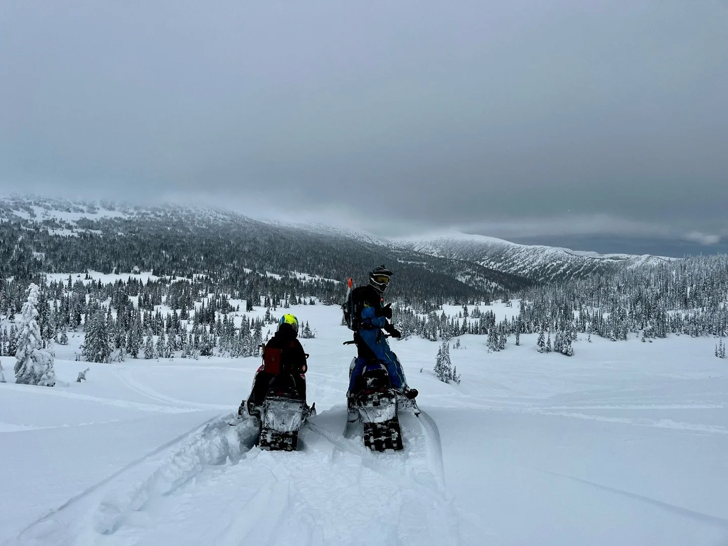 A deep sadness has overcome us with the tragic news out of Tumbler Ridge today. 

Our quiet mountain town turned chaotic during an armed assault from a teen boy. So far, 10 people have been reported dead. 

We are grateful that our close friends are 