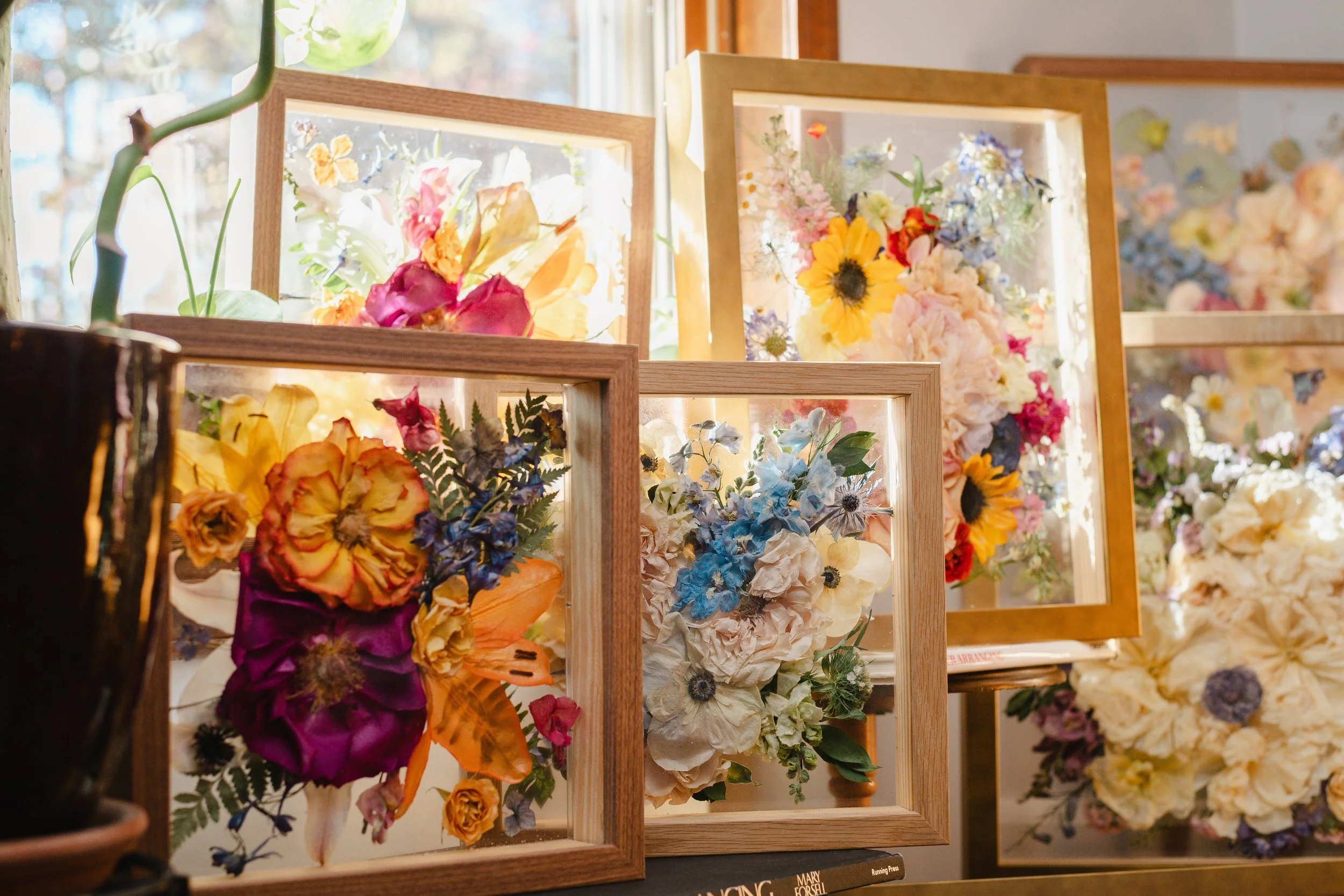 preserved flowers in frames