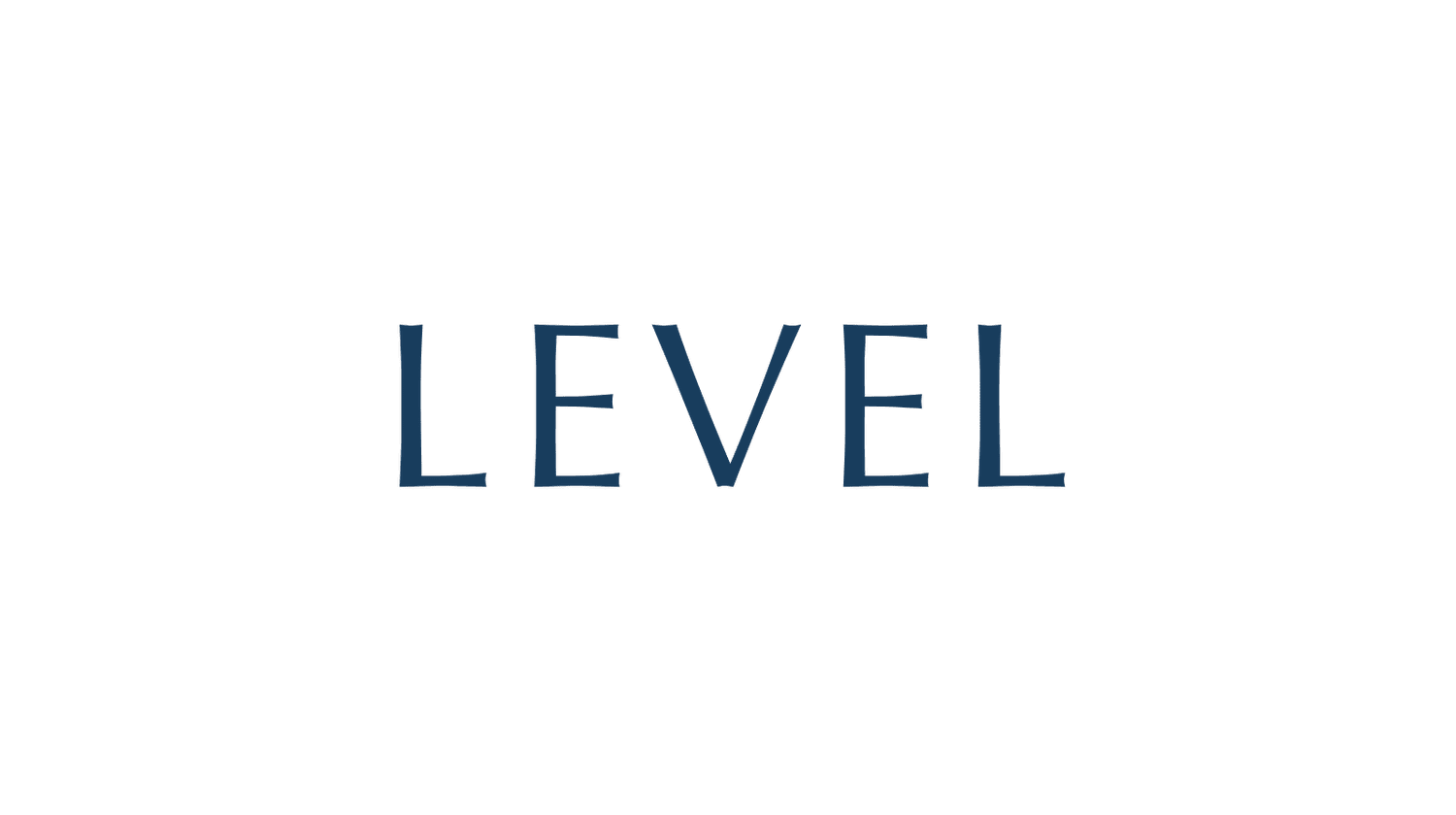LEVEL | EXECUTIVE SEARCH