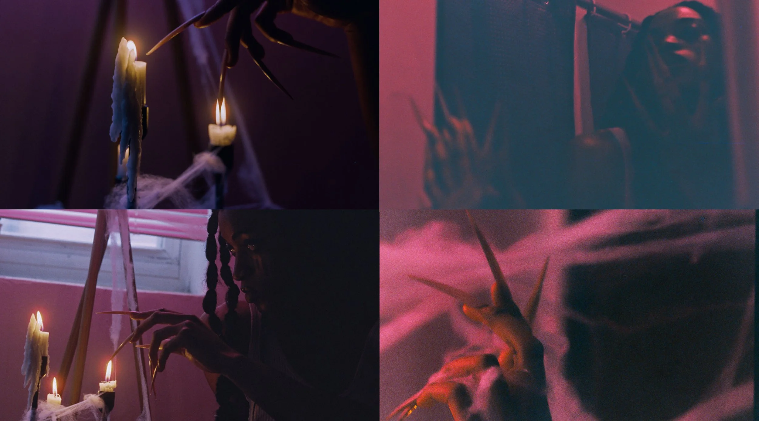 jan 26 shoot collage.jpg