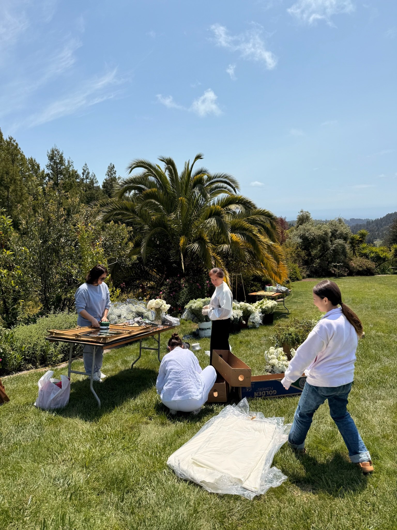 Four women arrange white flowers outdoors on a sunny day with green grass, trees, and a large palm tree in the background.