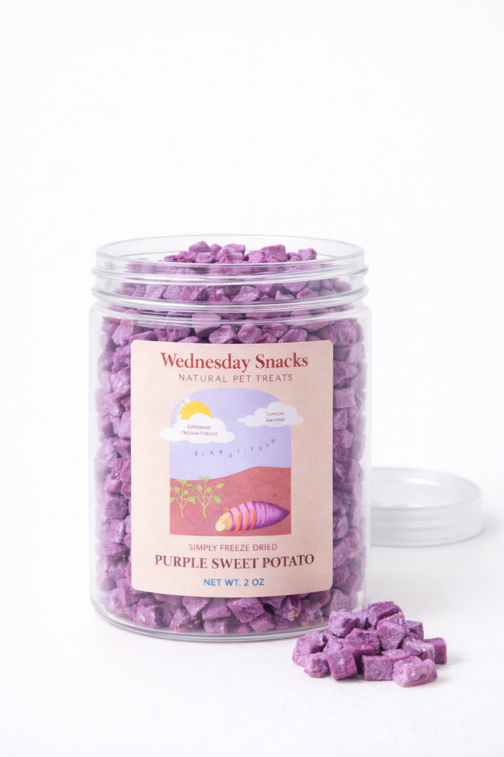 ChatGPT Image Feb 18, 2026, 07_00_49 PM.png