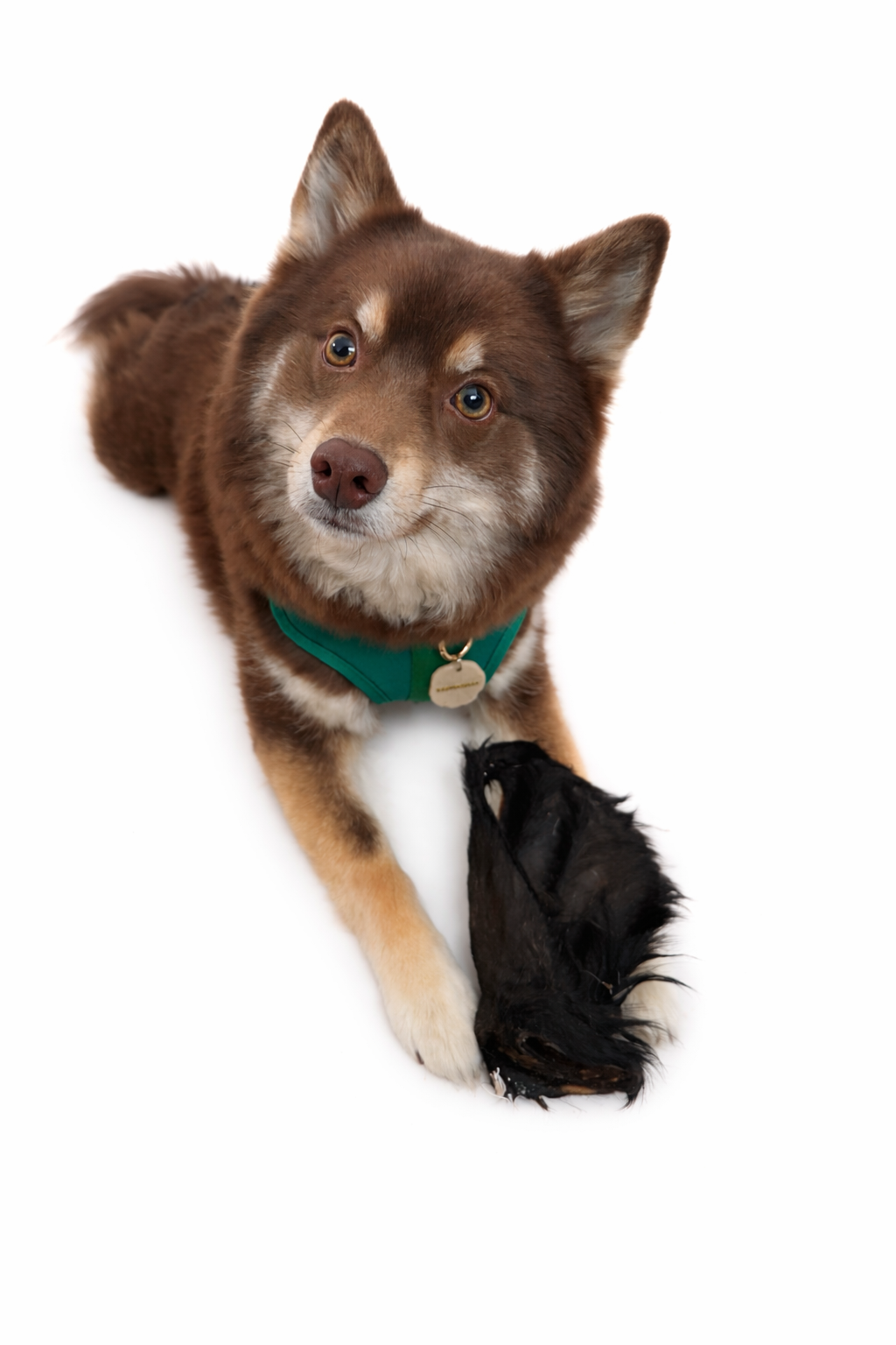 0, 2026, 12_53_26 PM.png