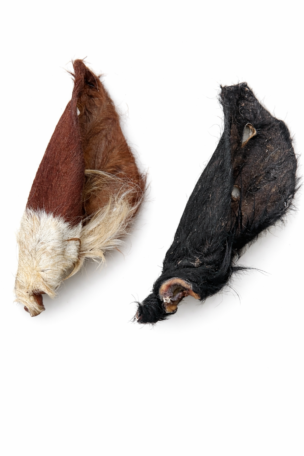 Mar 20, 2026, 12_52_29 PM.png