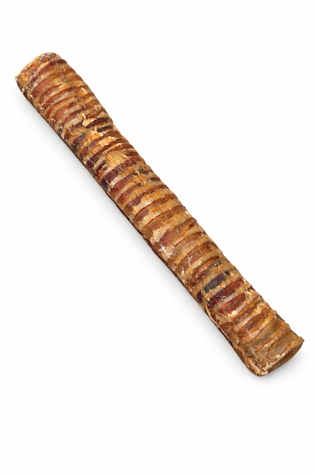 BEEF TRACHEA