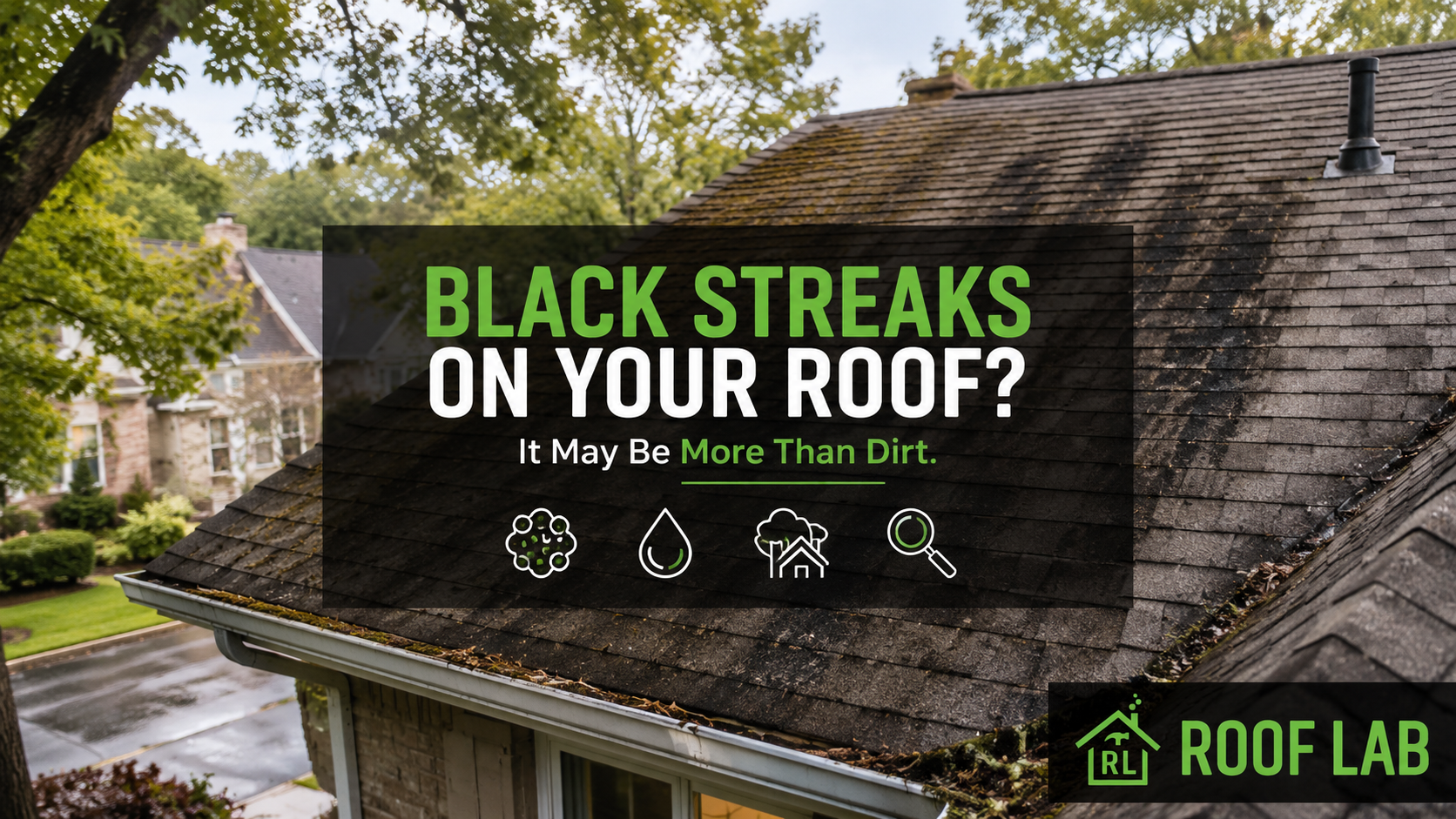 What Is That Black Streak on Your Roof? Here's Why It's More Than Just Dirt